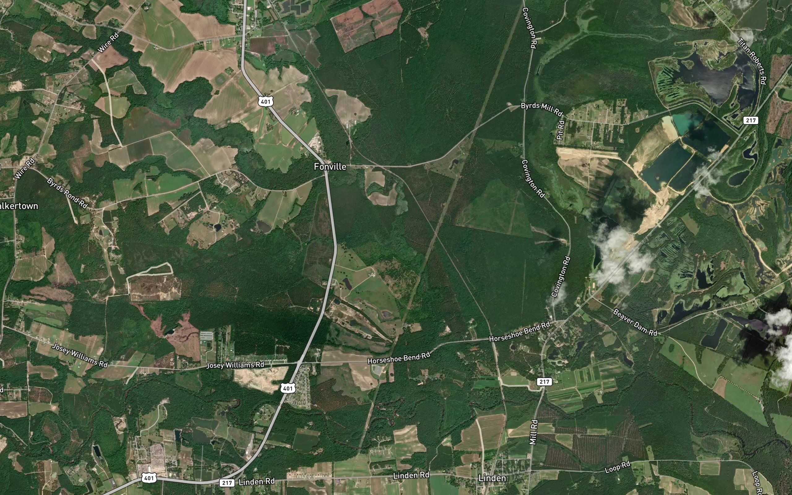 Williams Swamp