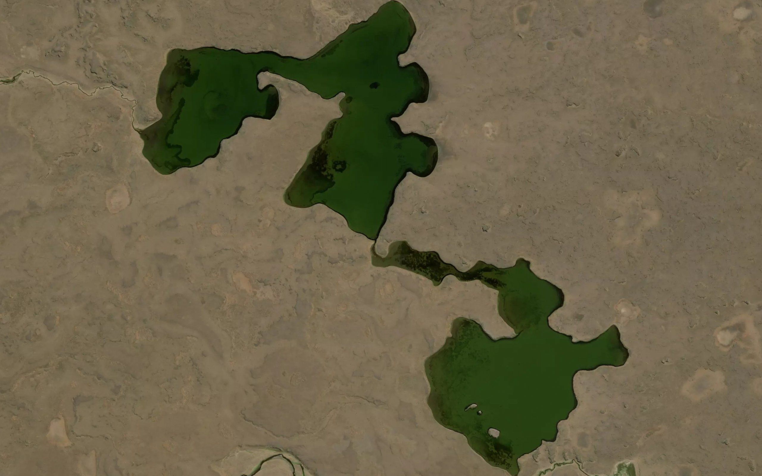 Lagunas Las Acollaradas