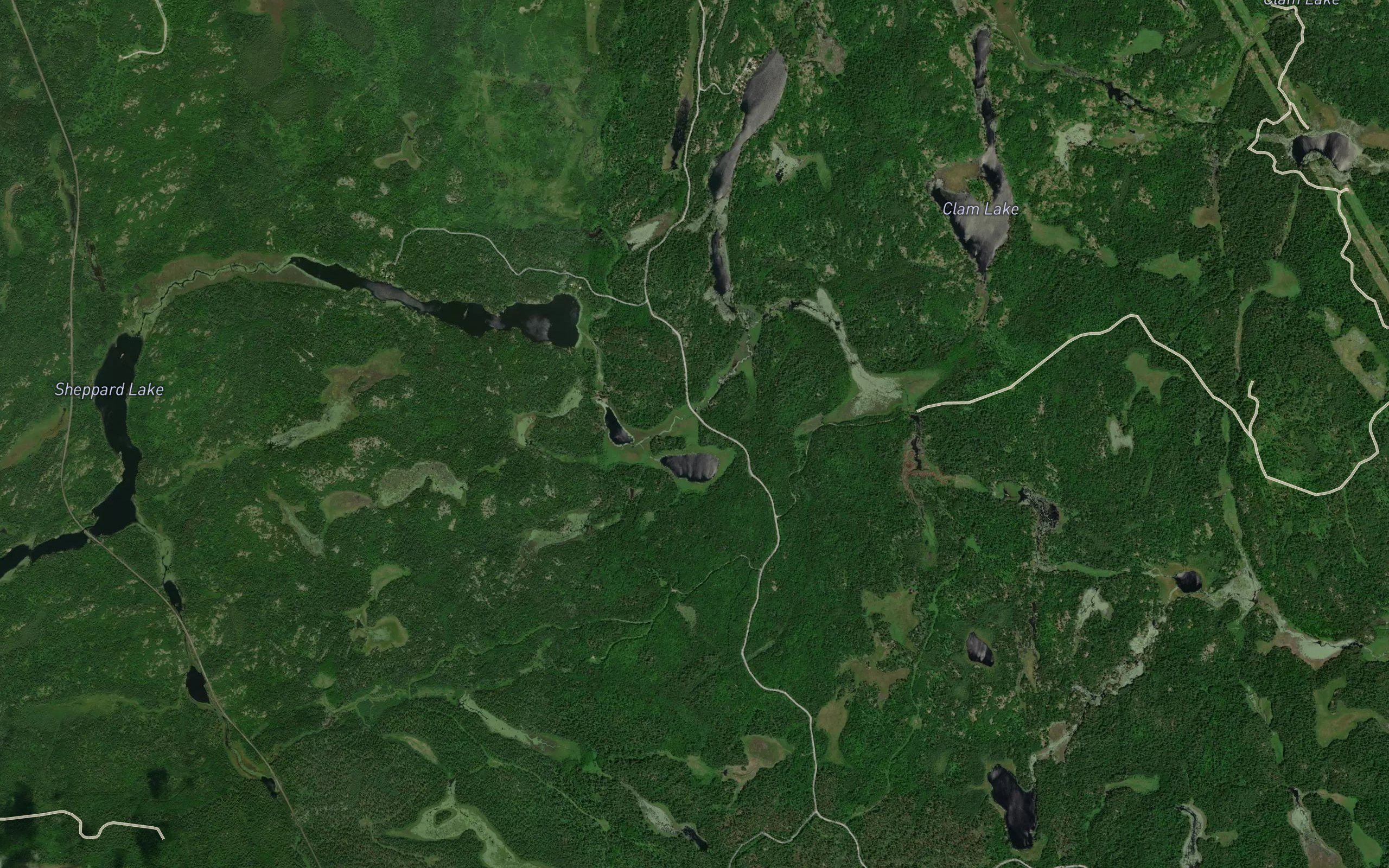 Mud Lake