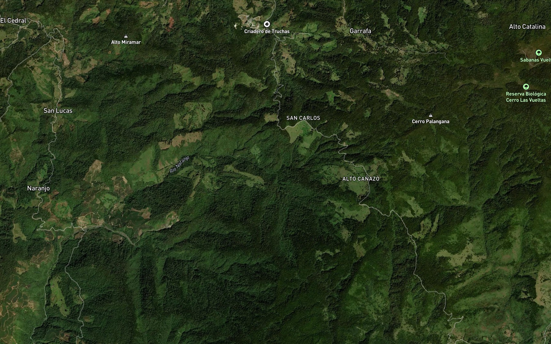 Satellite map of the Quebrada Gemelas