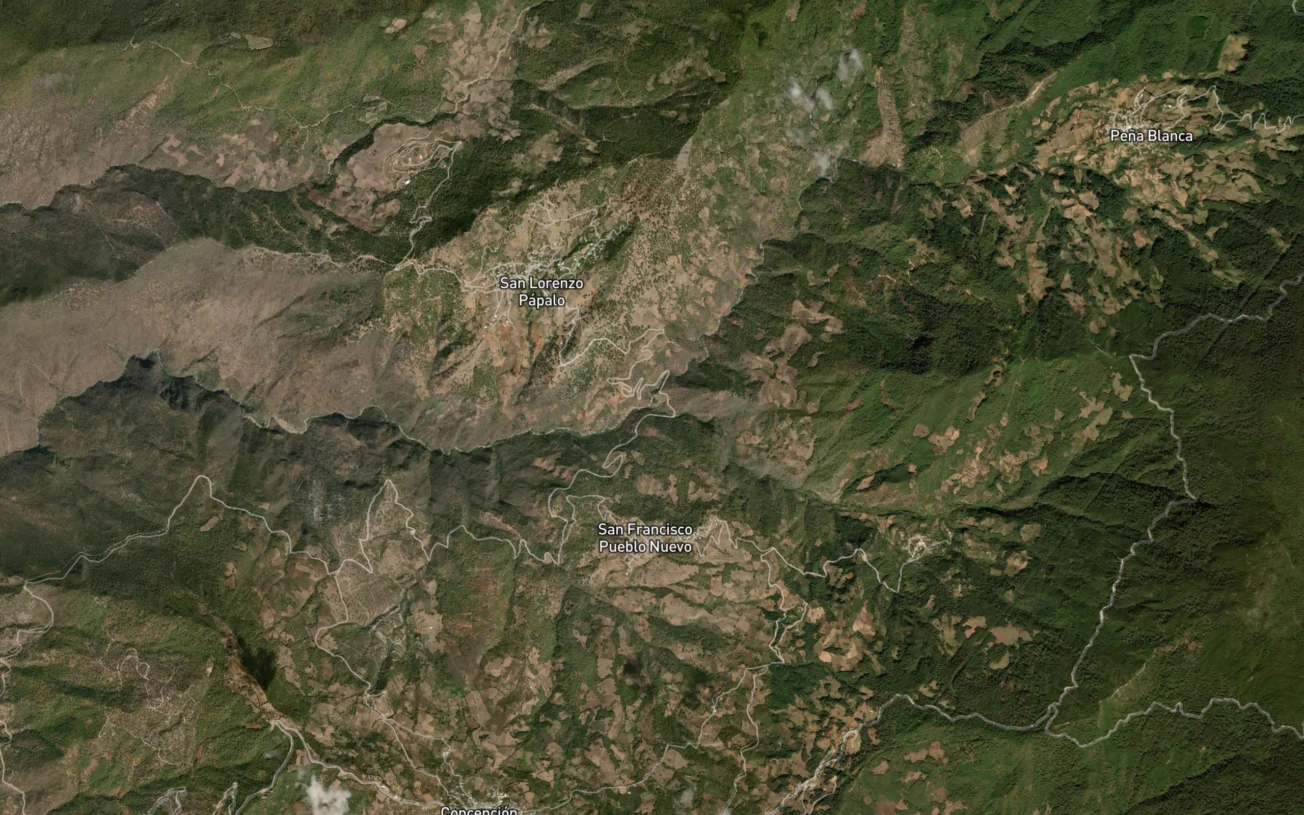 Guayabal