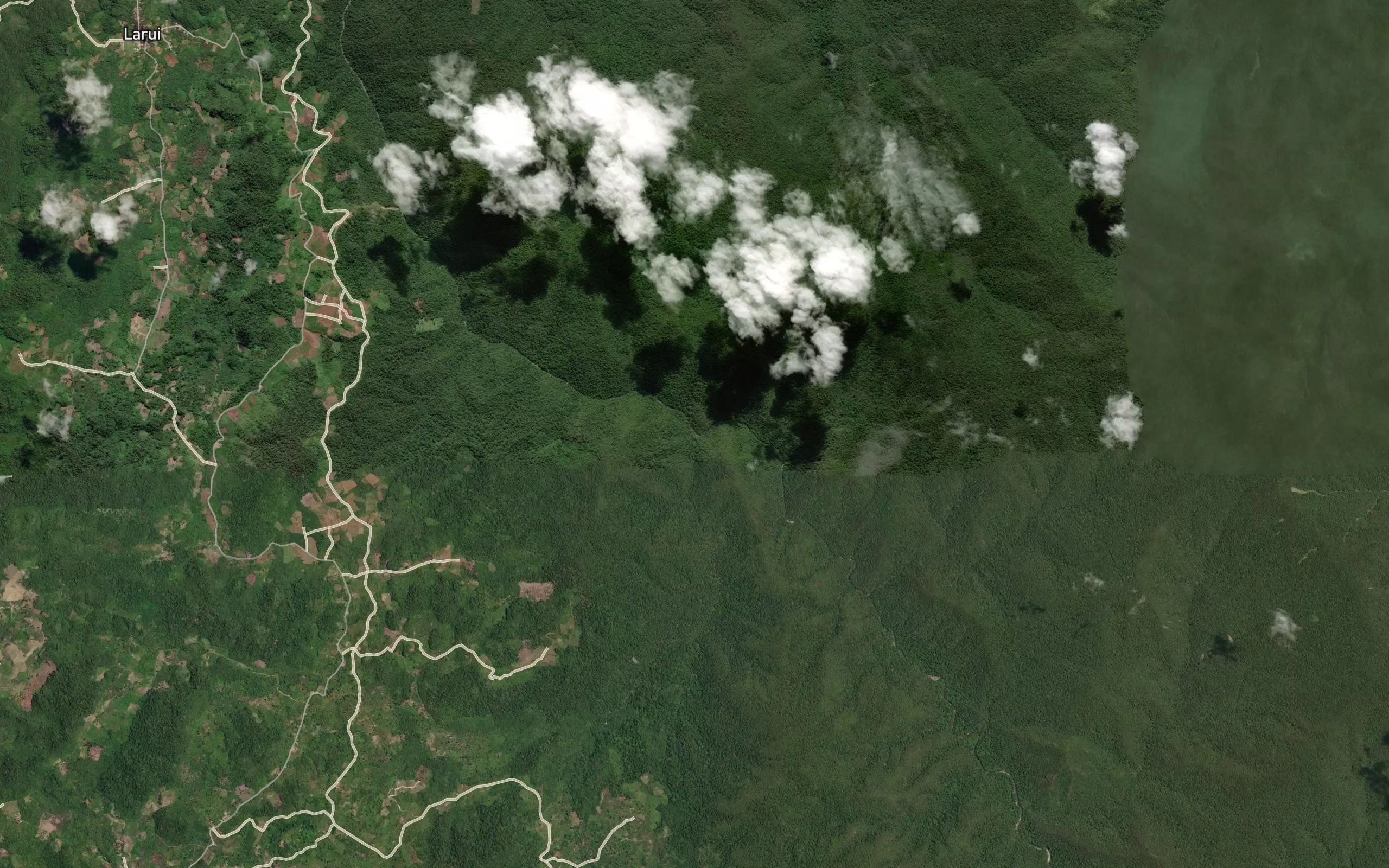 Salo Neote
