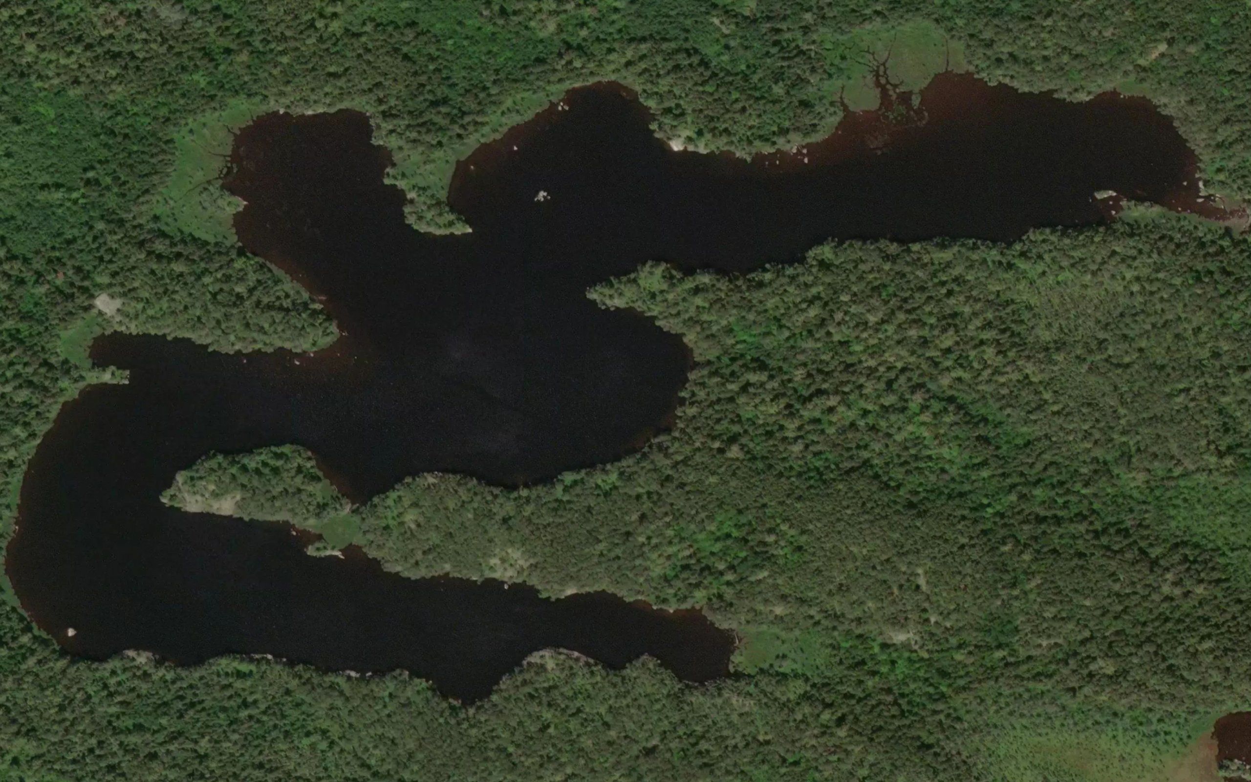 Horseshoe Pond