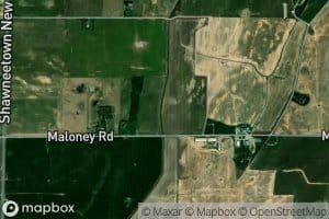 Pond Settlement Ditch