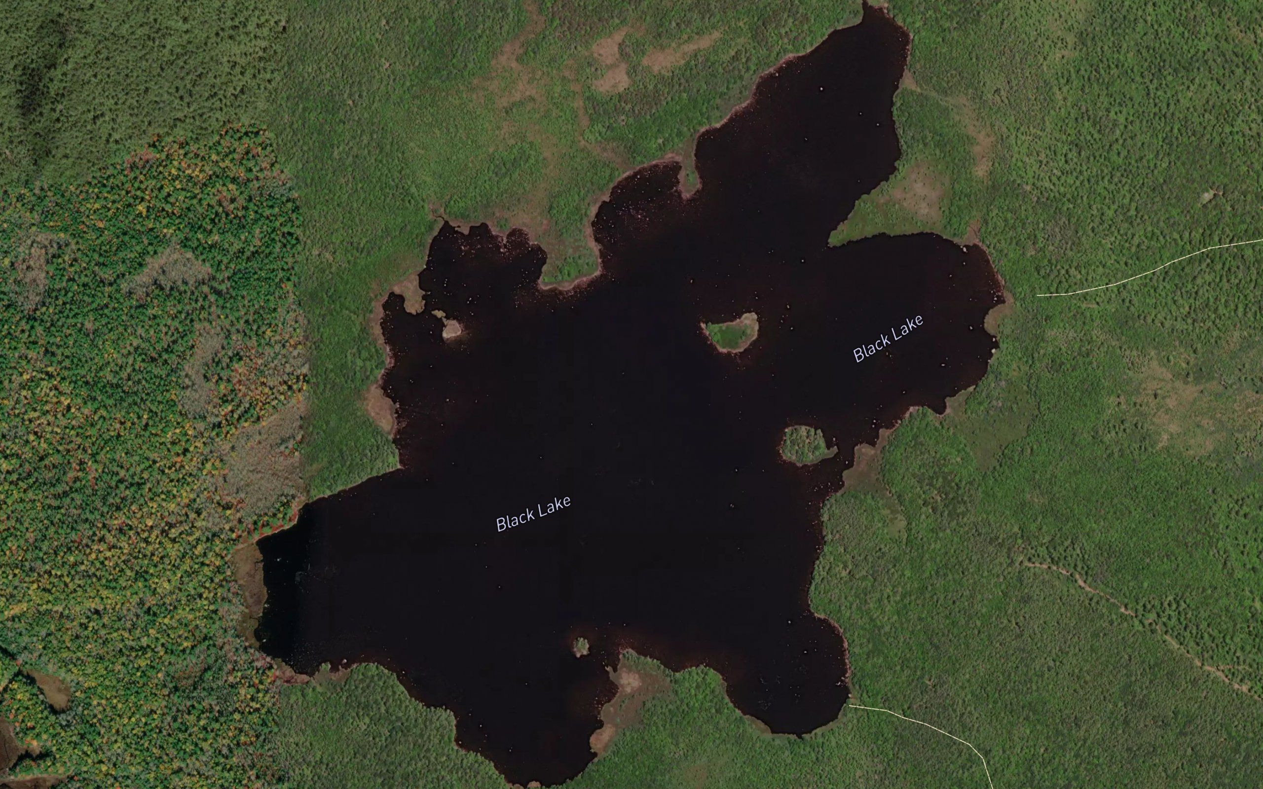 Black Lake