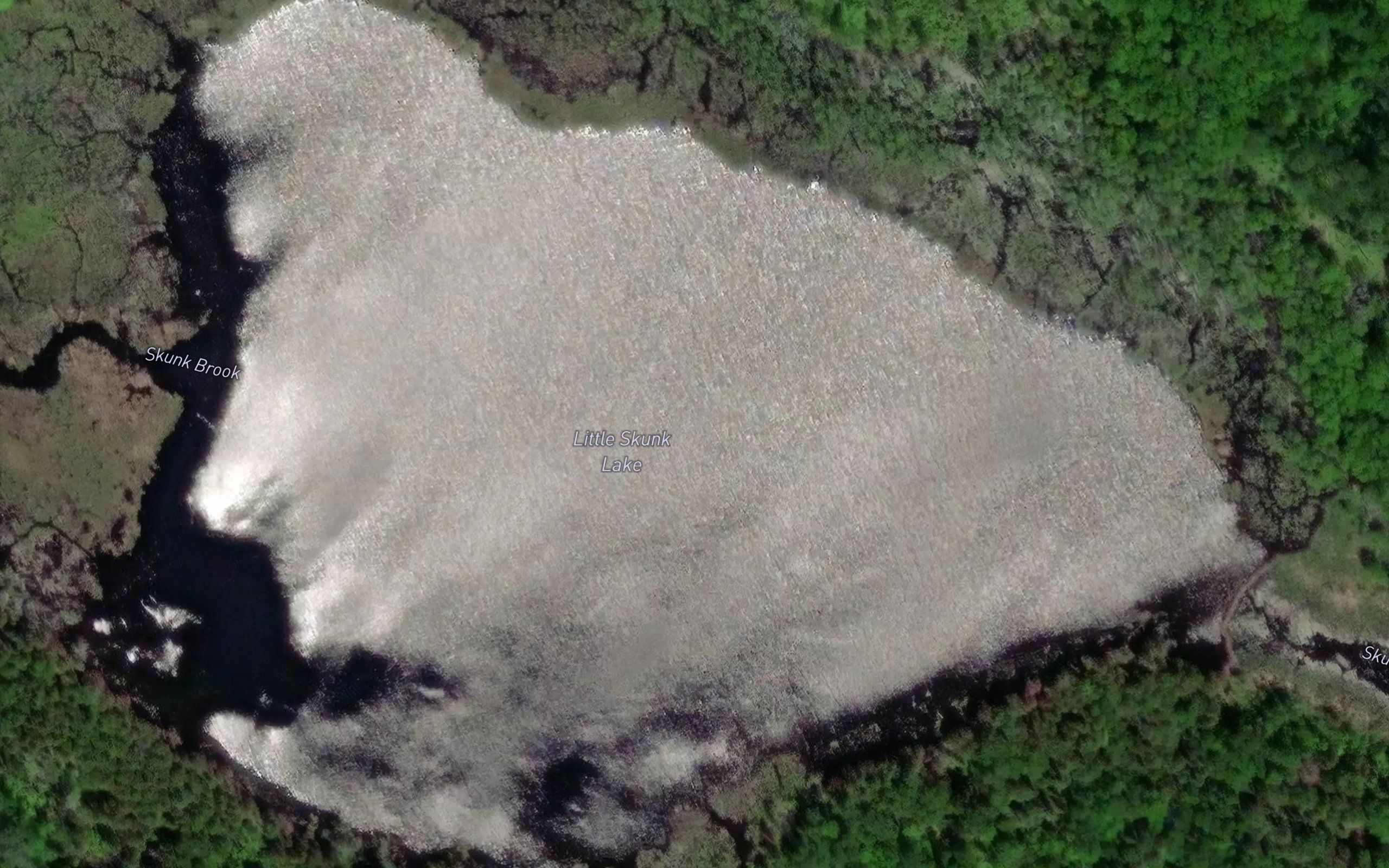 Little Skunk Lake