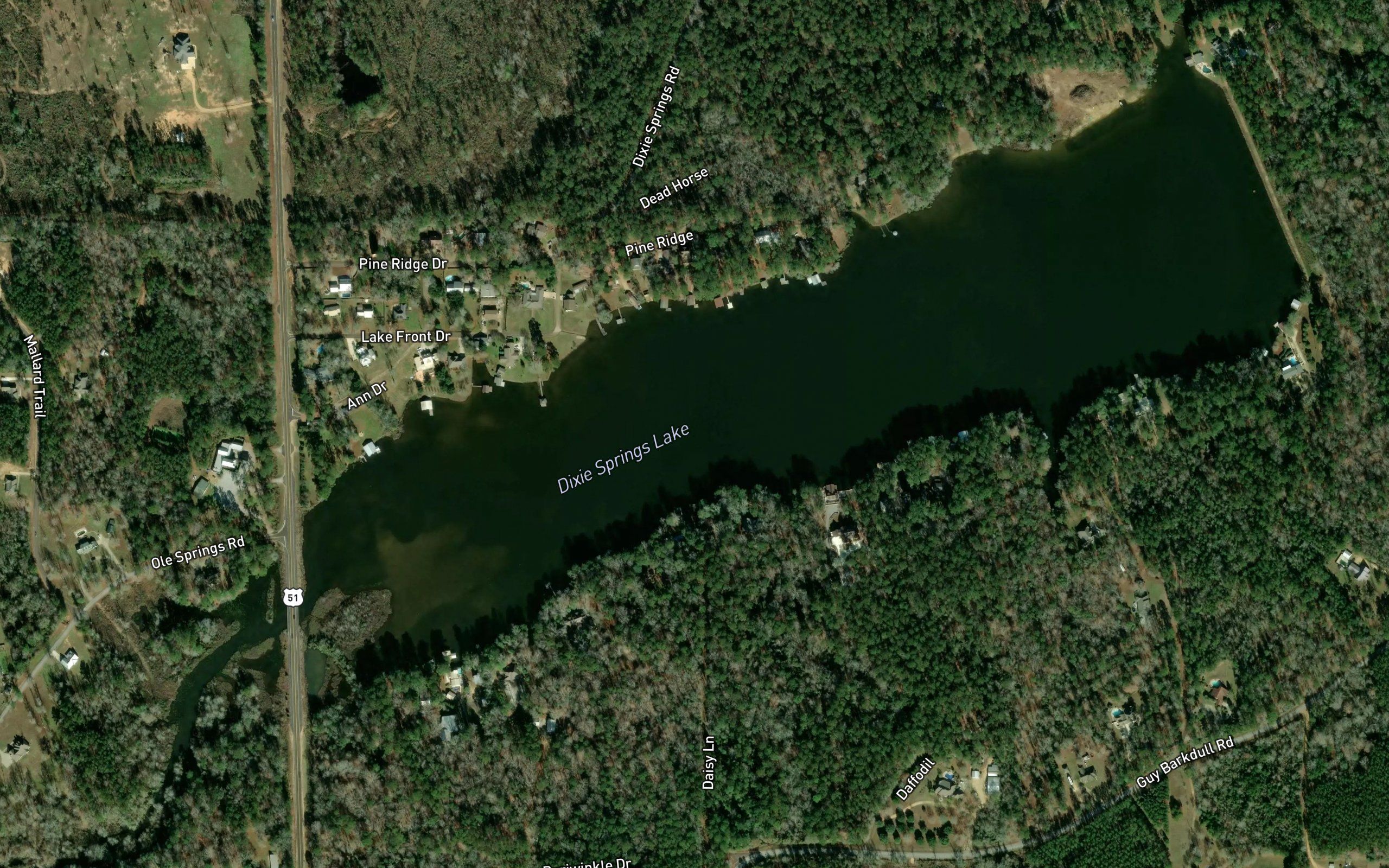 Dixie Springs Lake