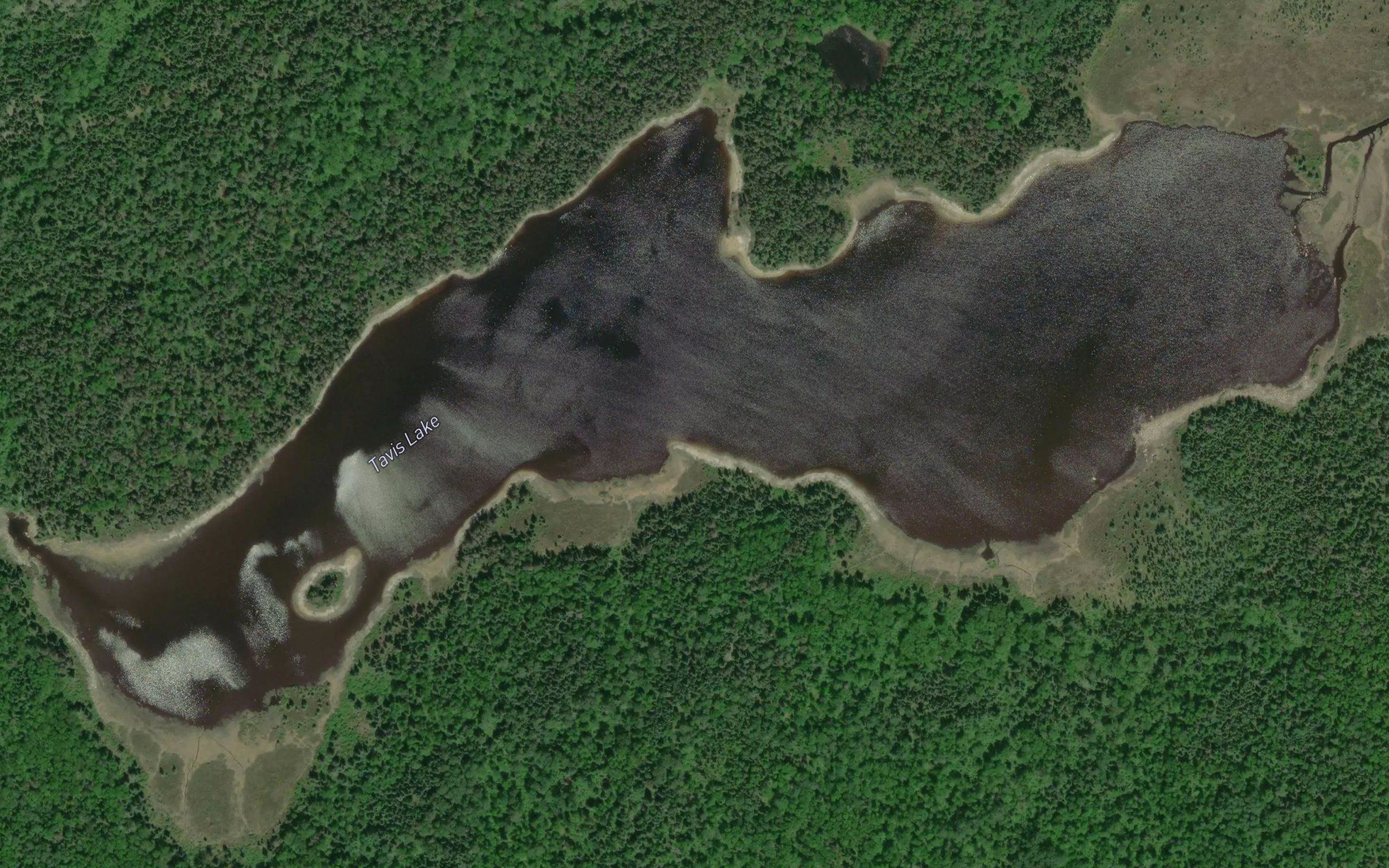 Tavis Lake