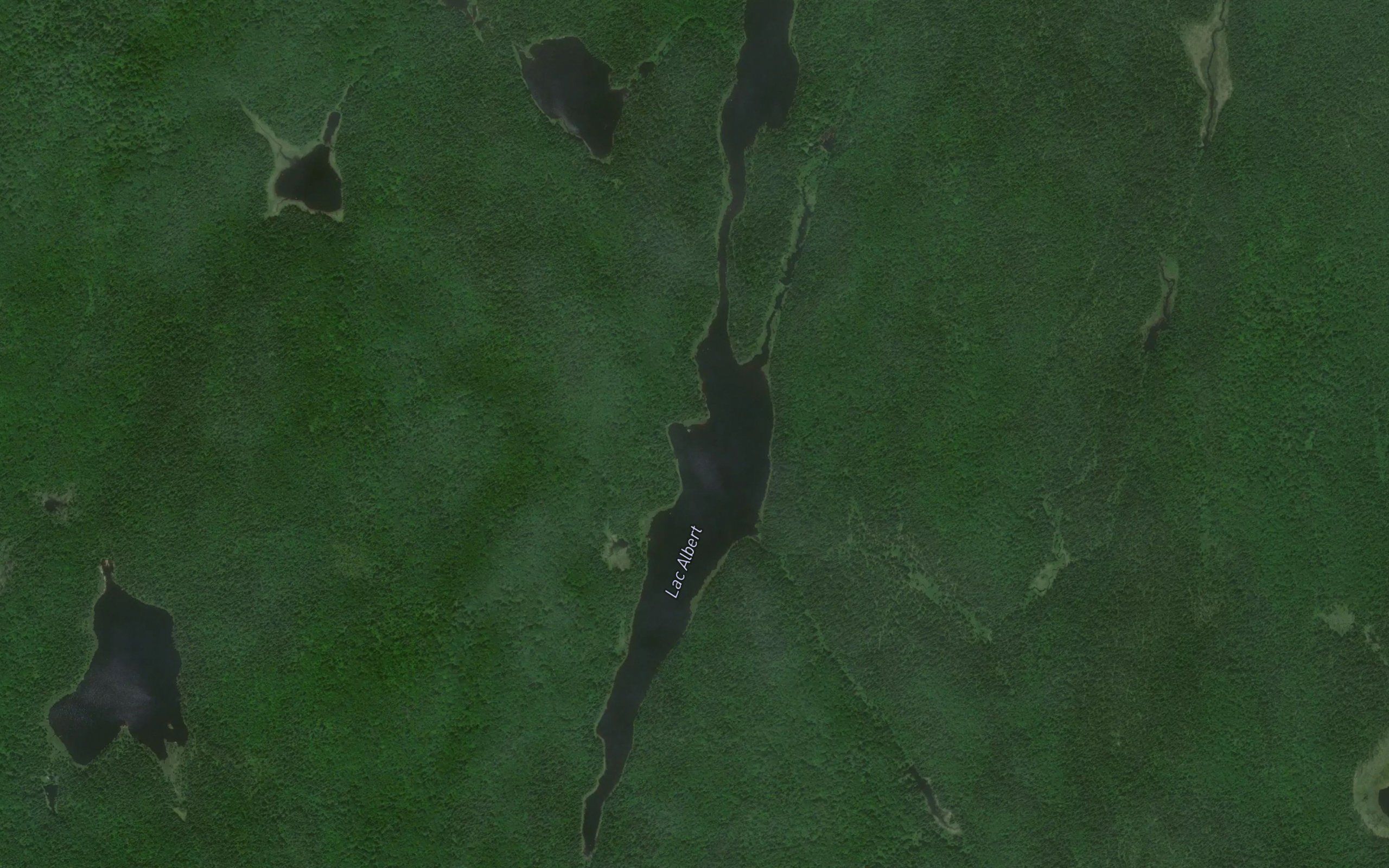 Lac Albert