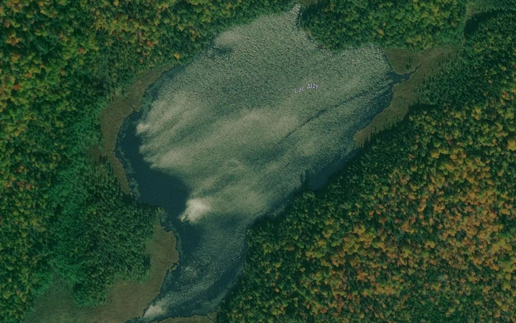 Satellite map of the Lac Alzy