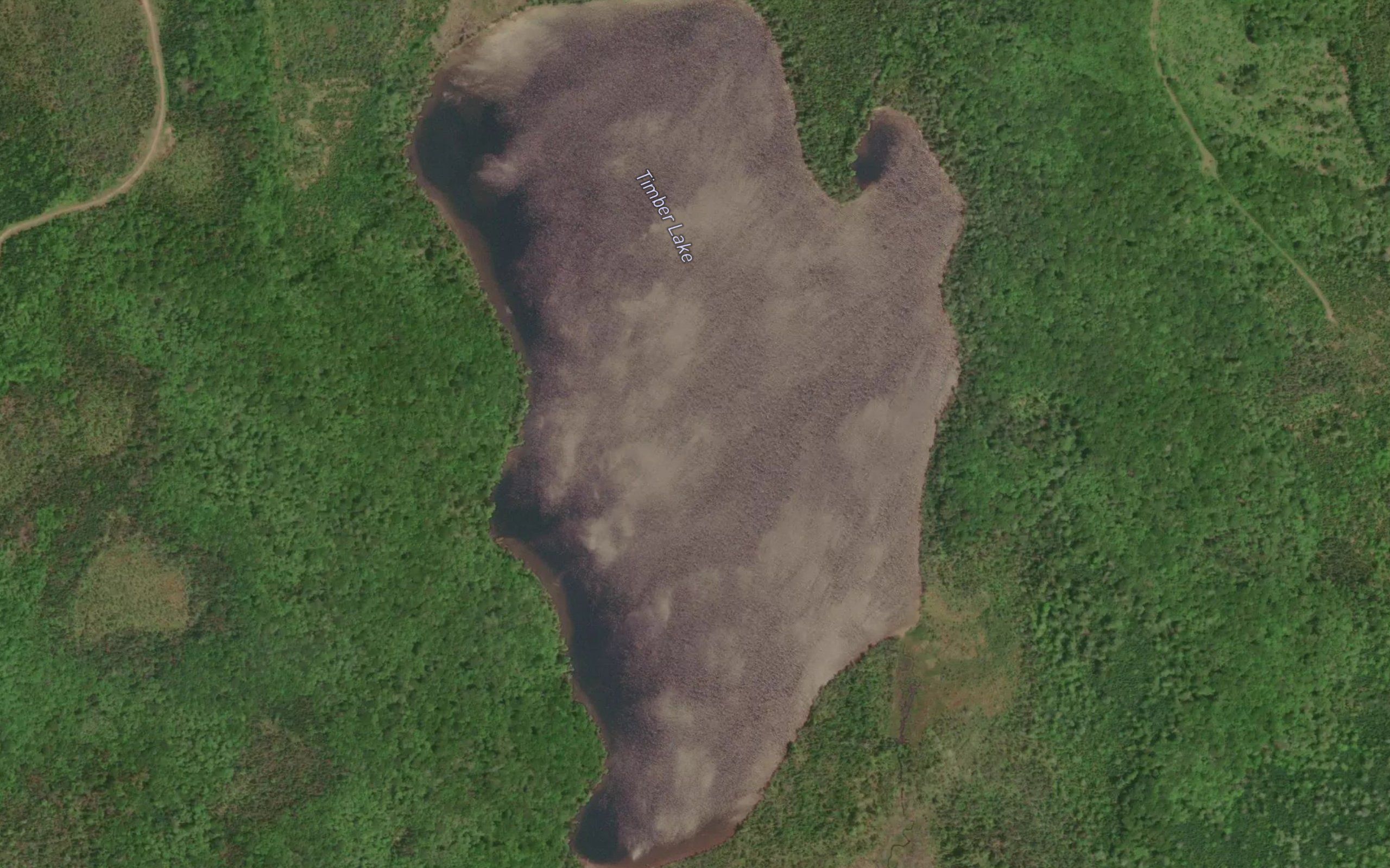 Timber Lake