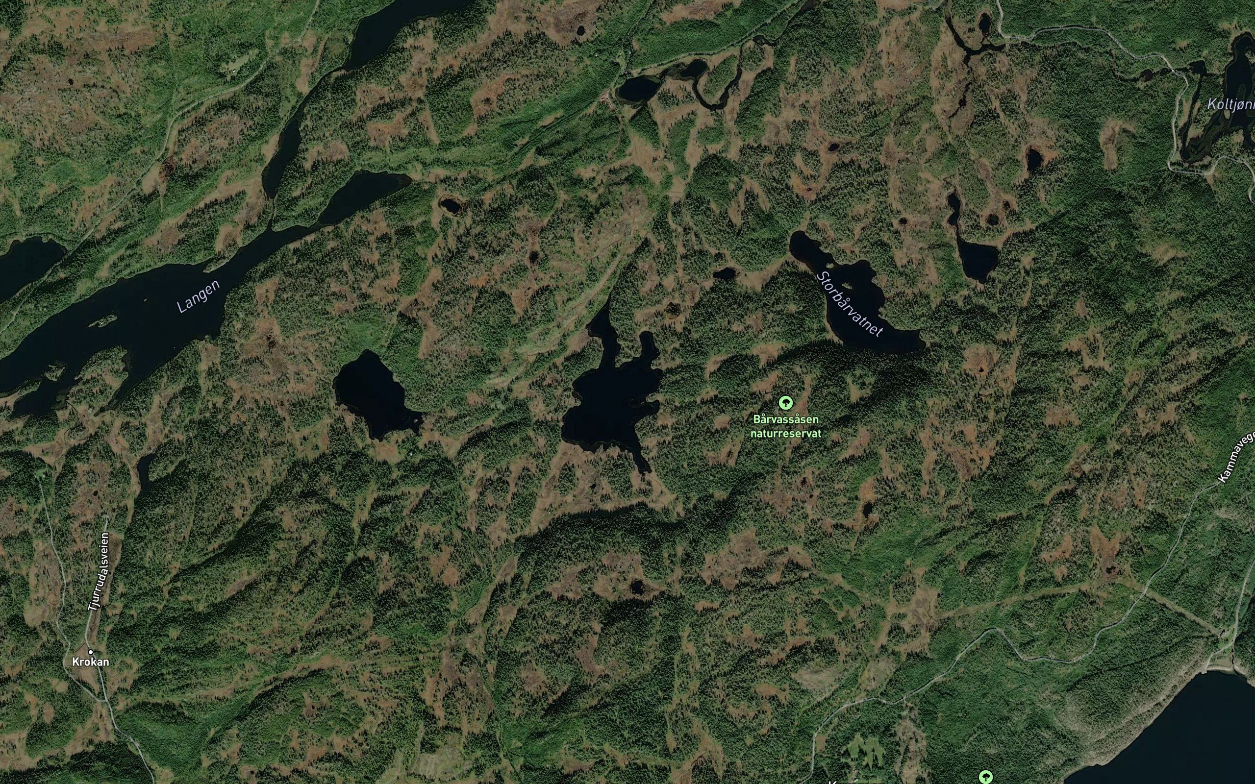 Litl Borvatnet