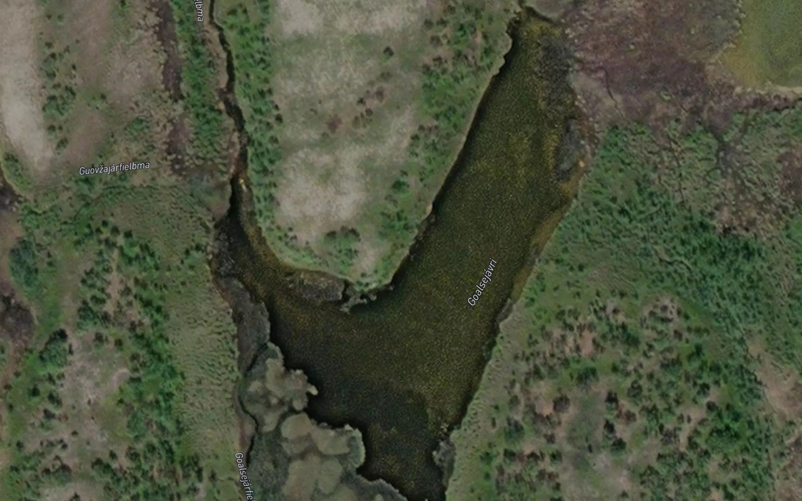 Goalsejavri