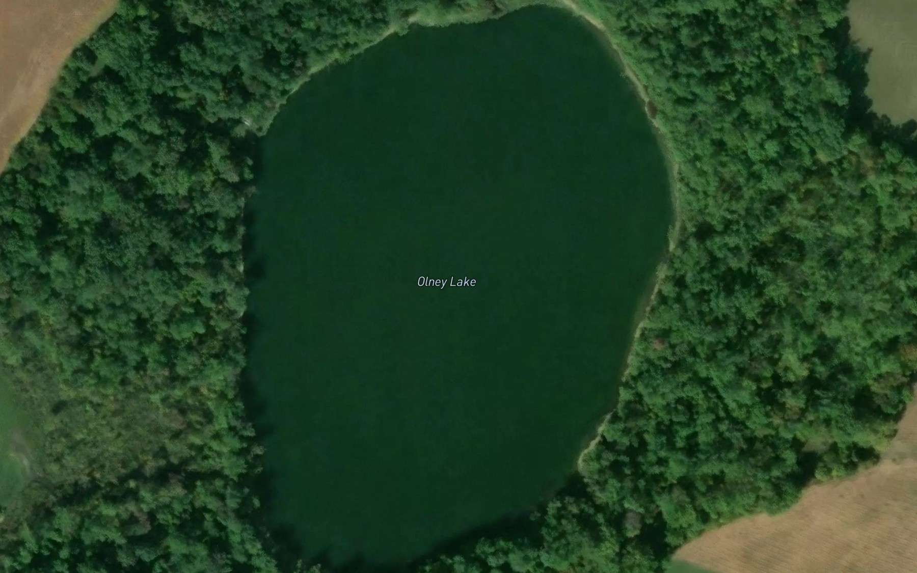 Satellite map of the Olney Lake