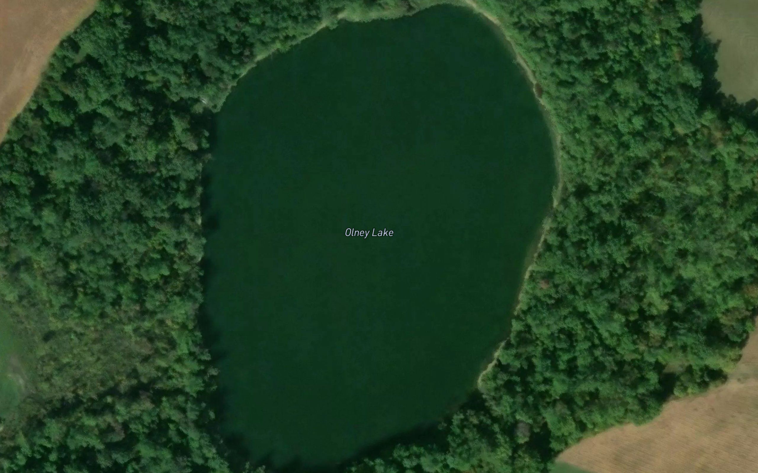 Olney Lake