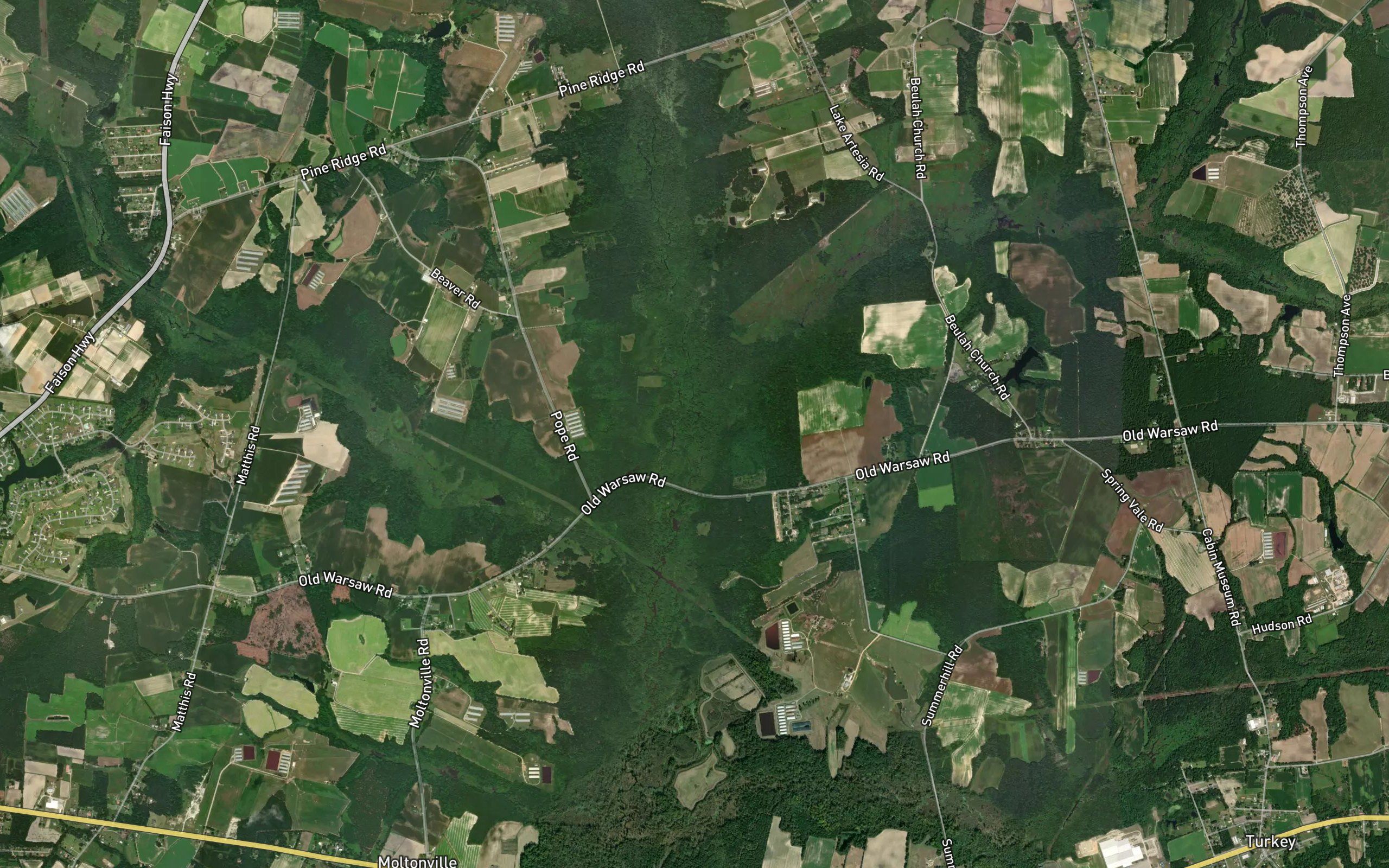 Tenmile Swamp