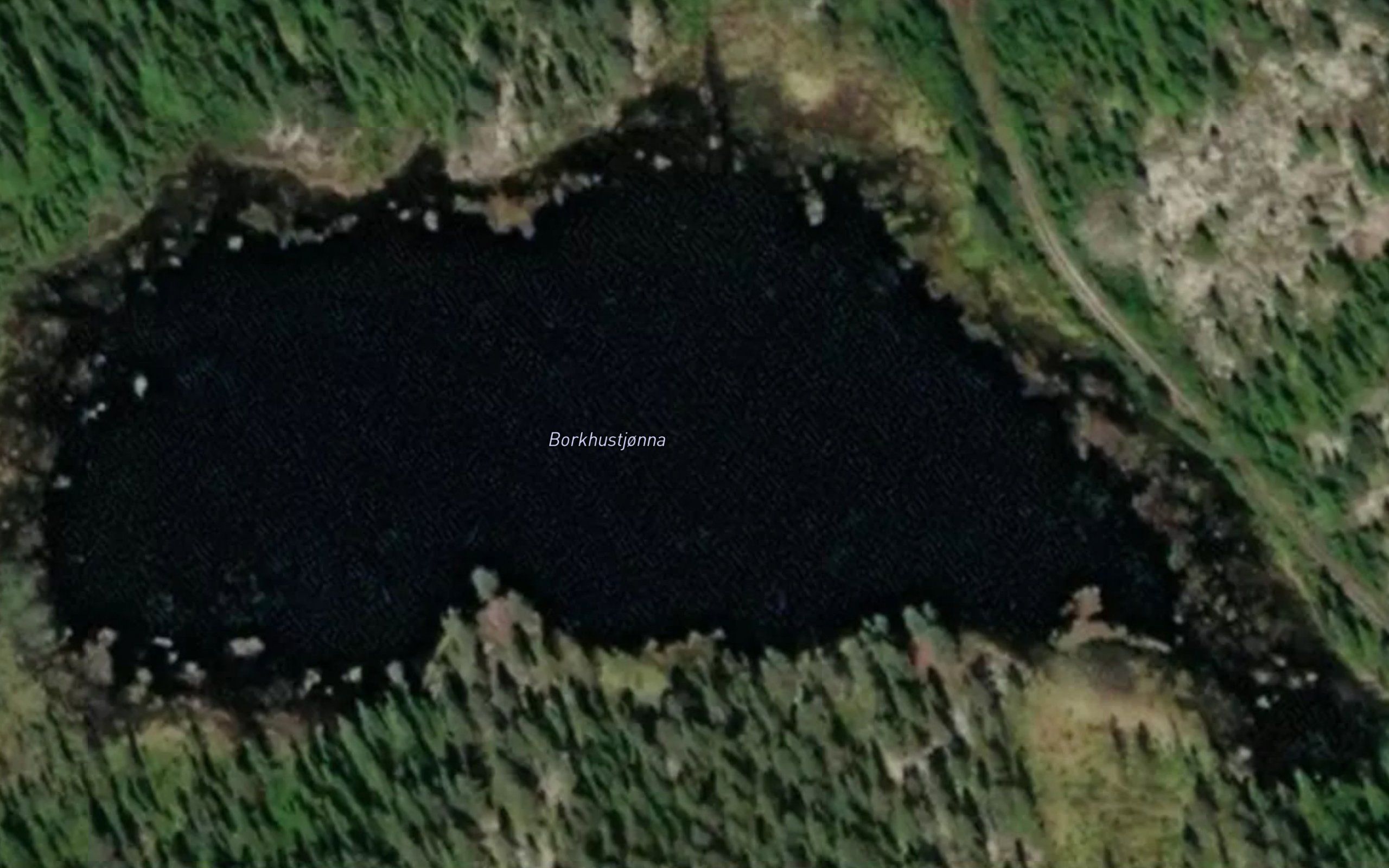 Borkhustjorna