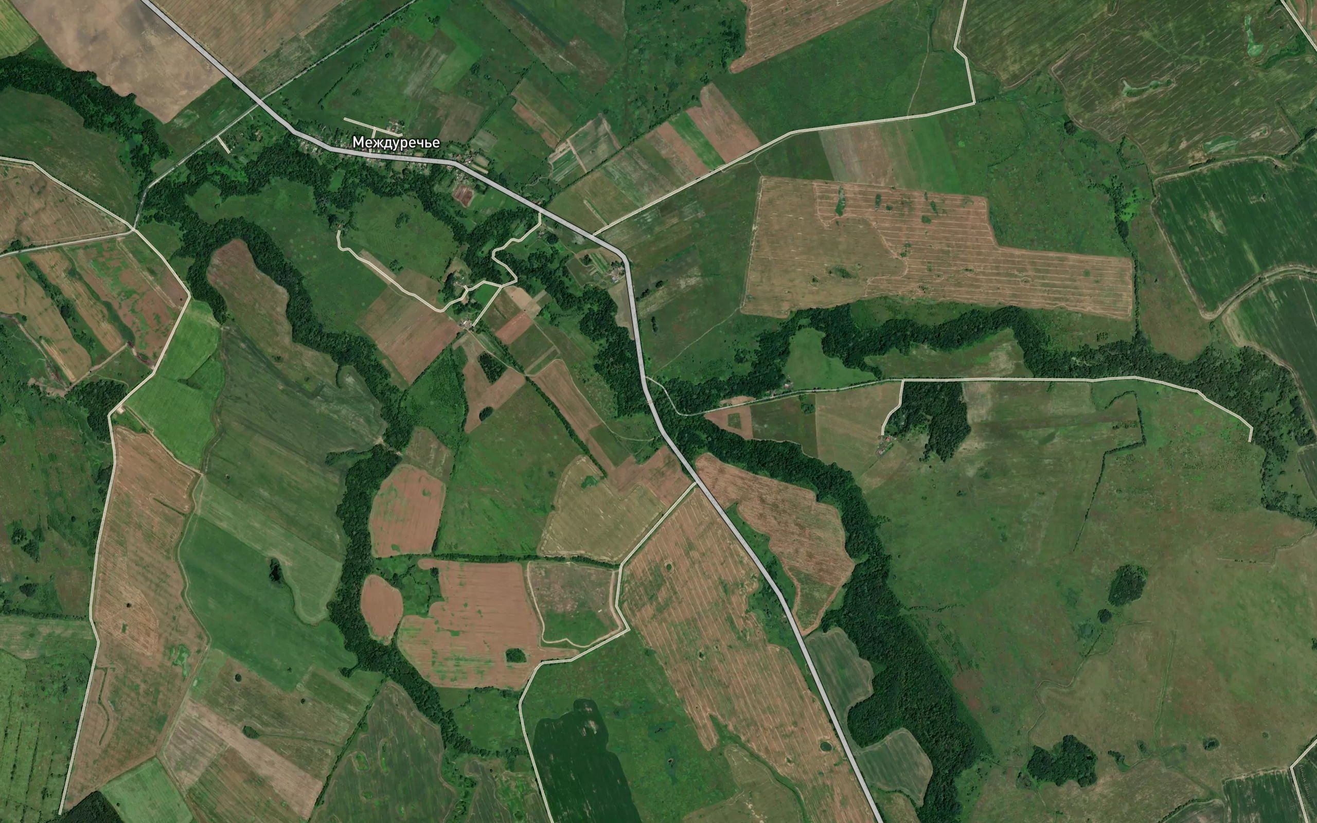 Okunevka