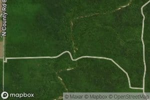 Falling Timber Branch