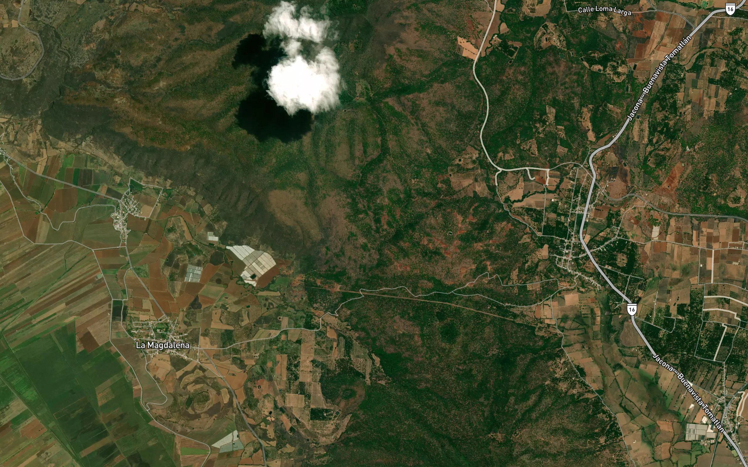 Barranca Palo Dulce