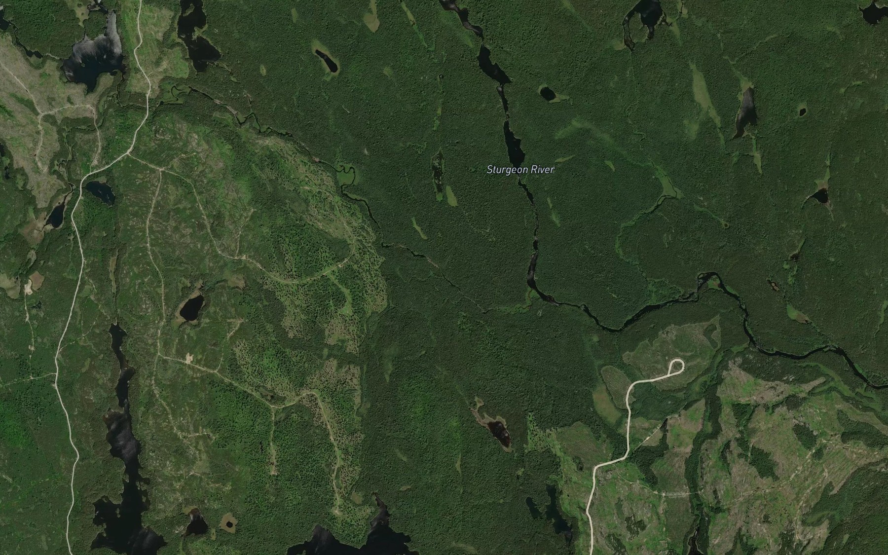 Satellite map of the Marconi Creek