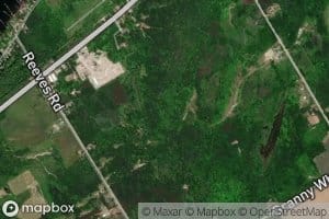 Hog Creek