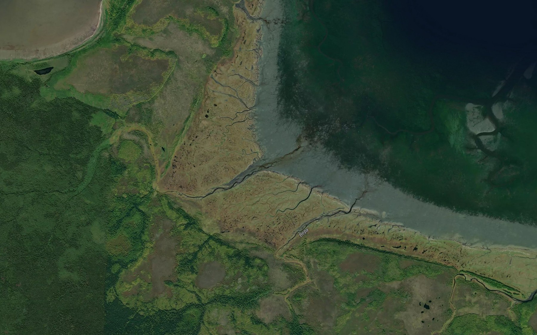 Satellite map of the Orlovskiy