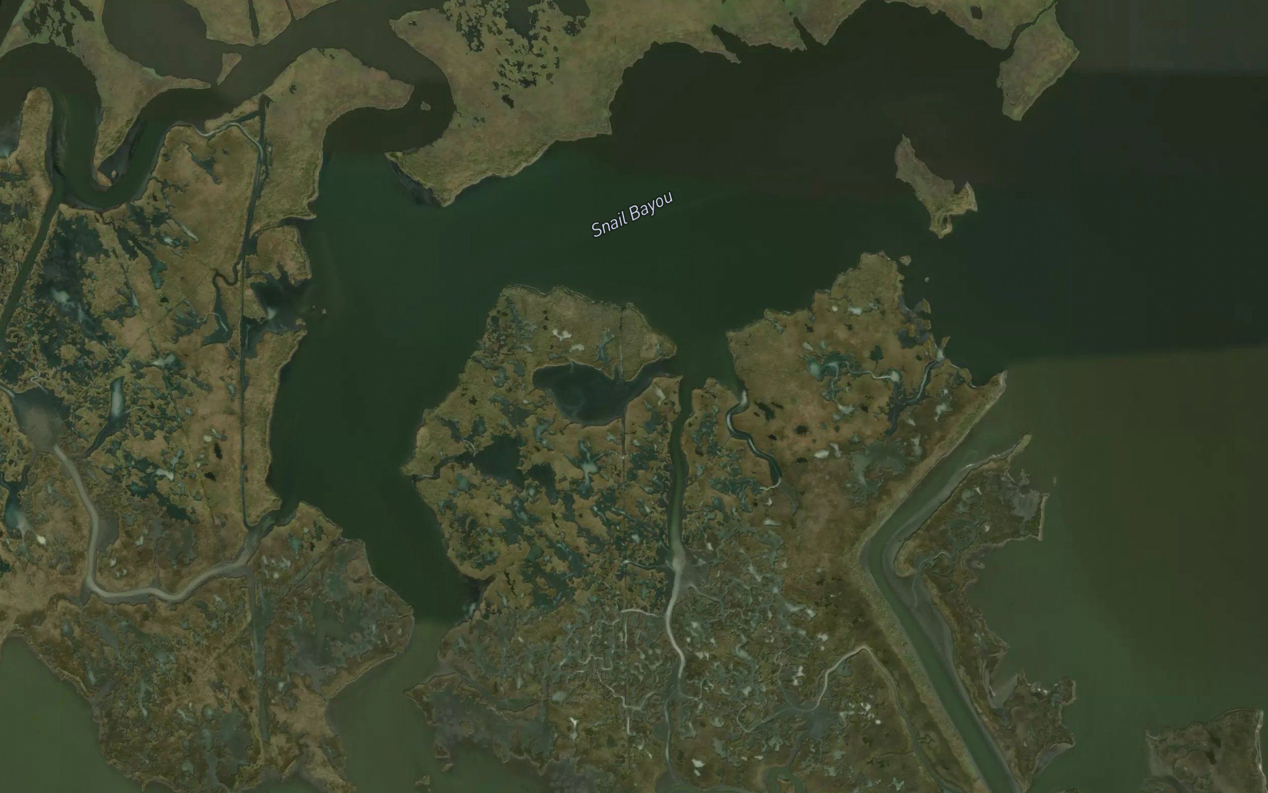 Snail Bayou