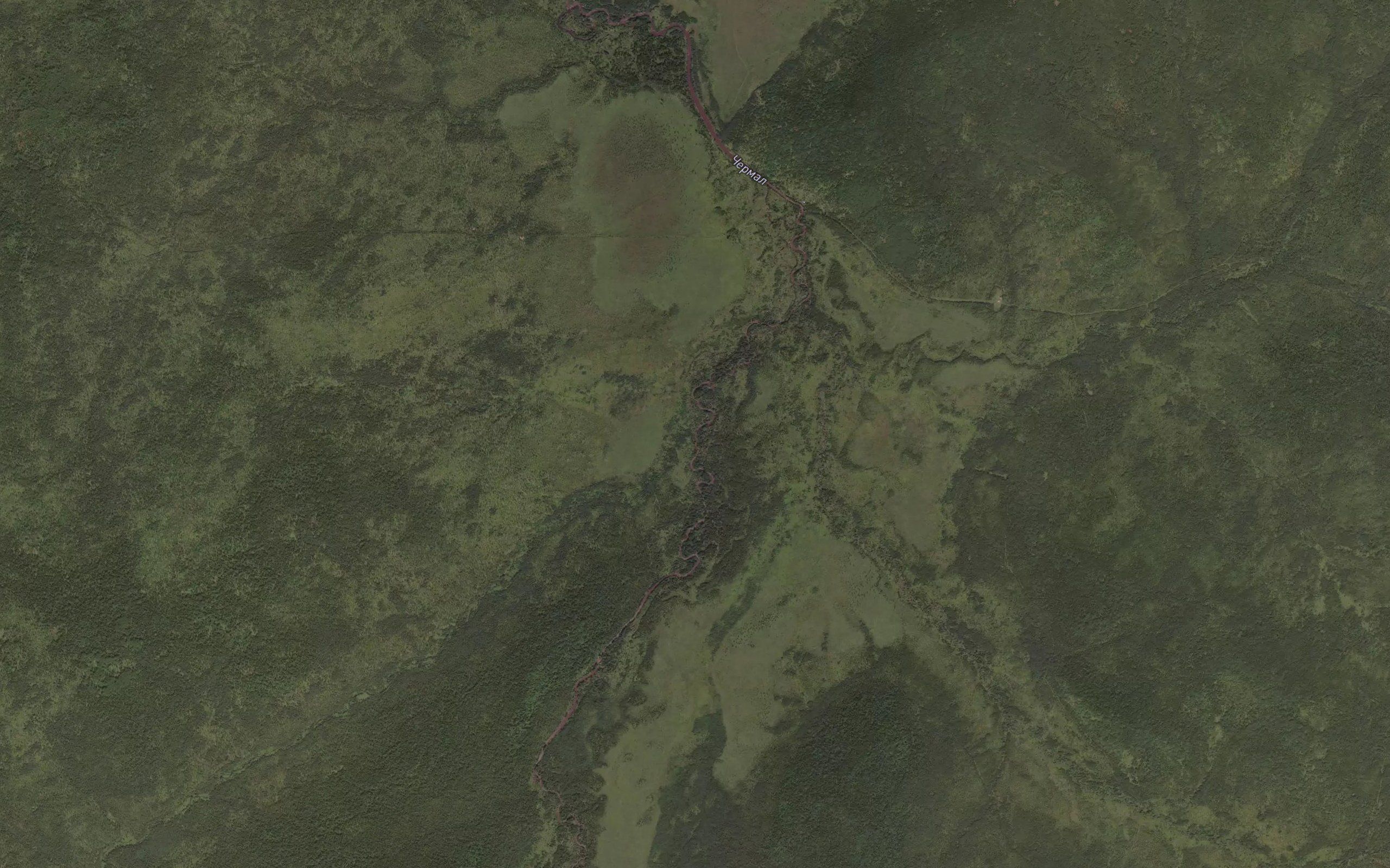 Peshekhodnyy