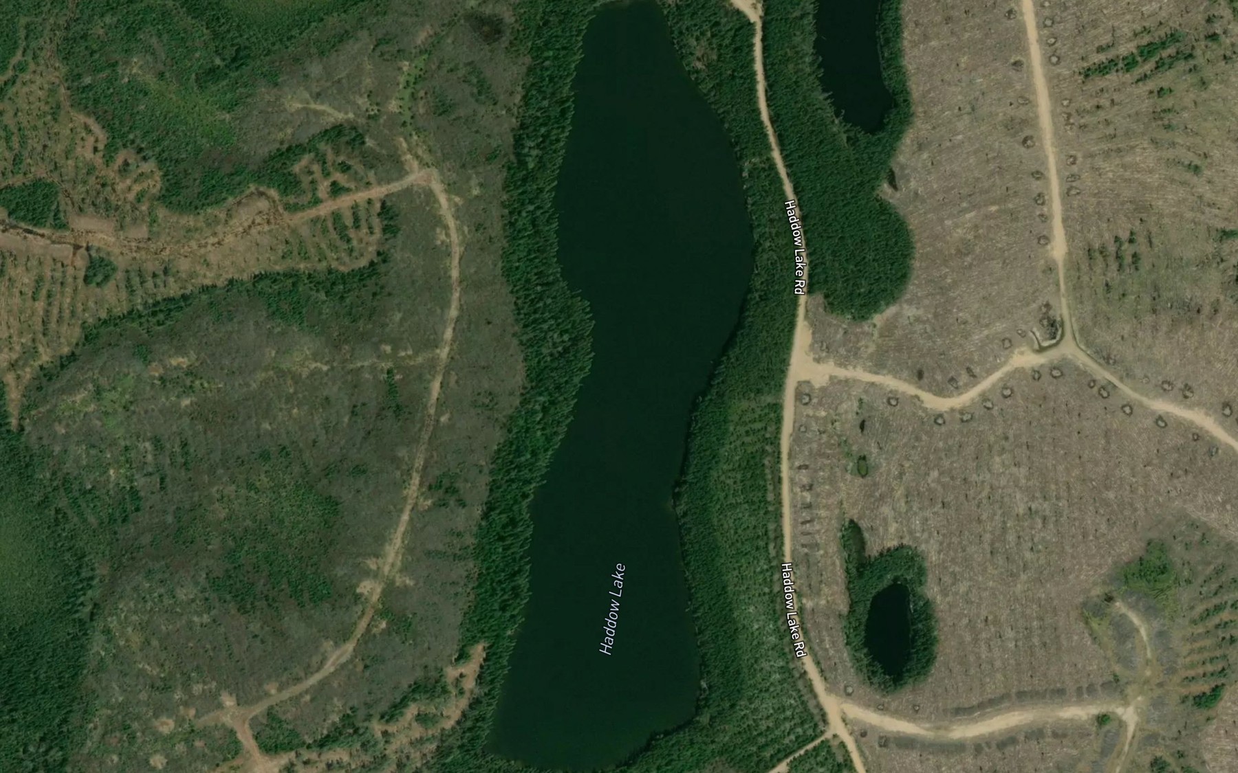 Satellite map of the Haddow Lake