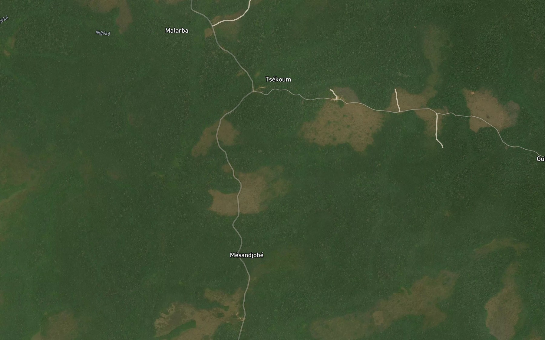 Satellite map of the Melong