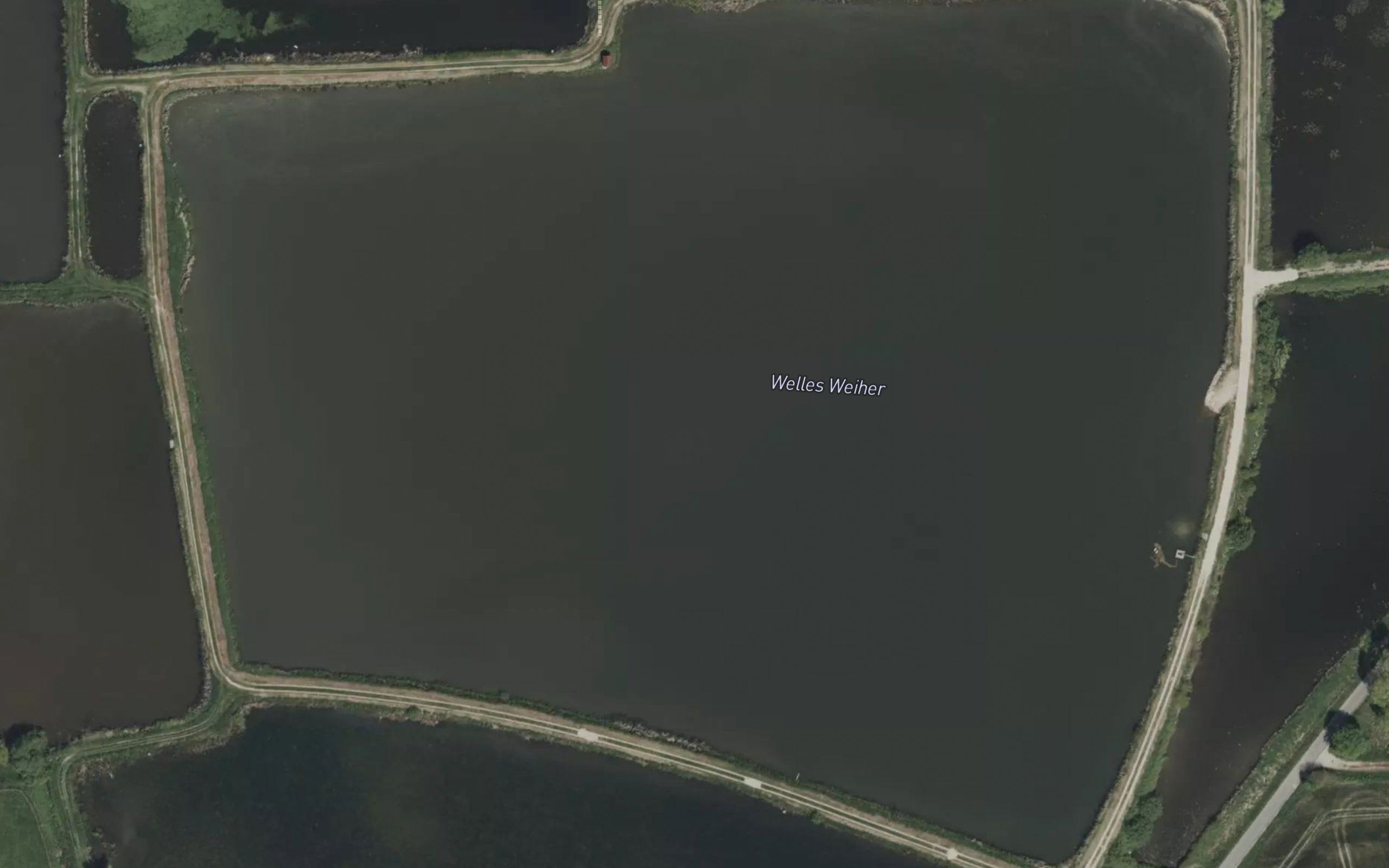 Welles Weiher