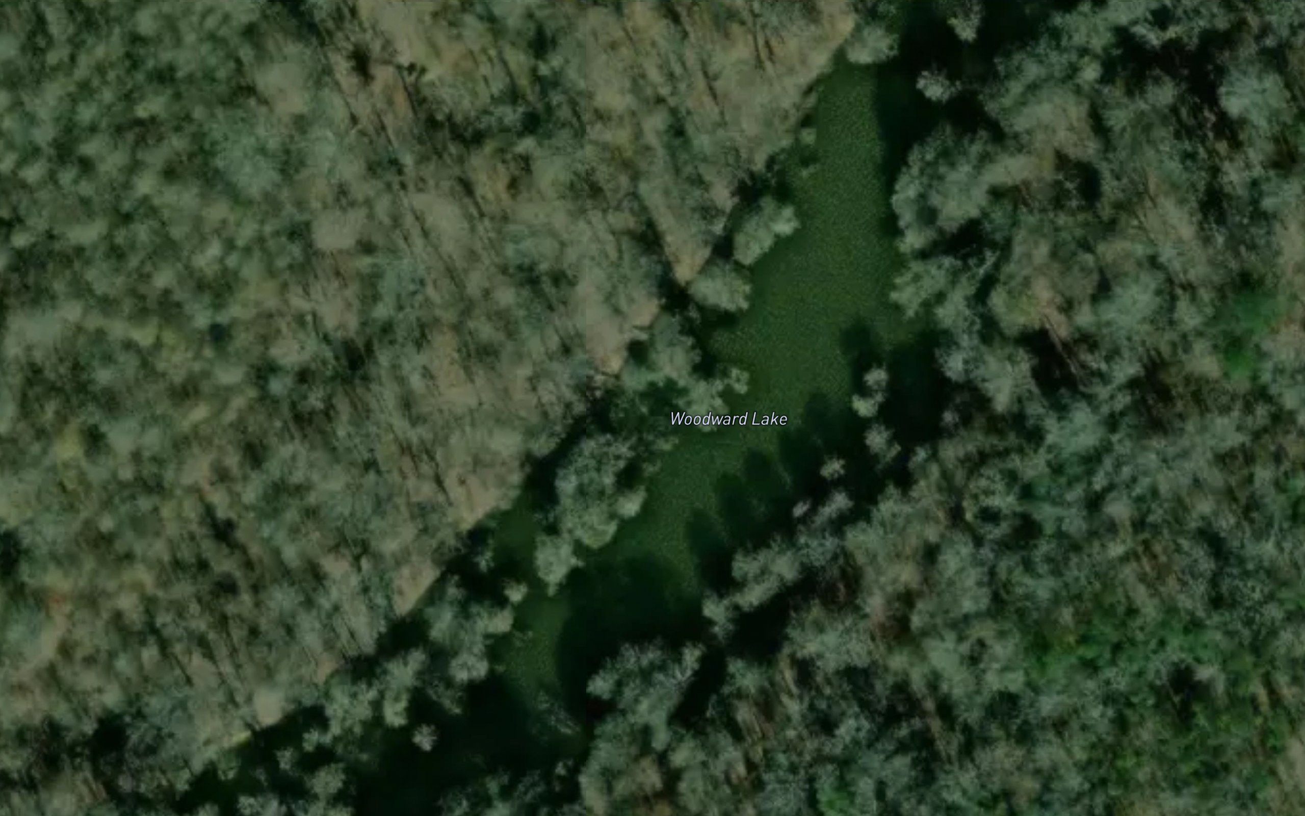 Woodward Lake