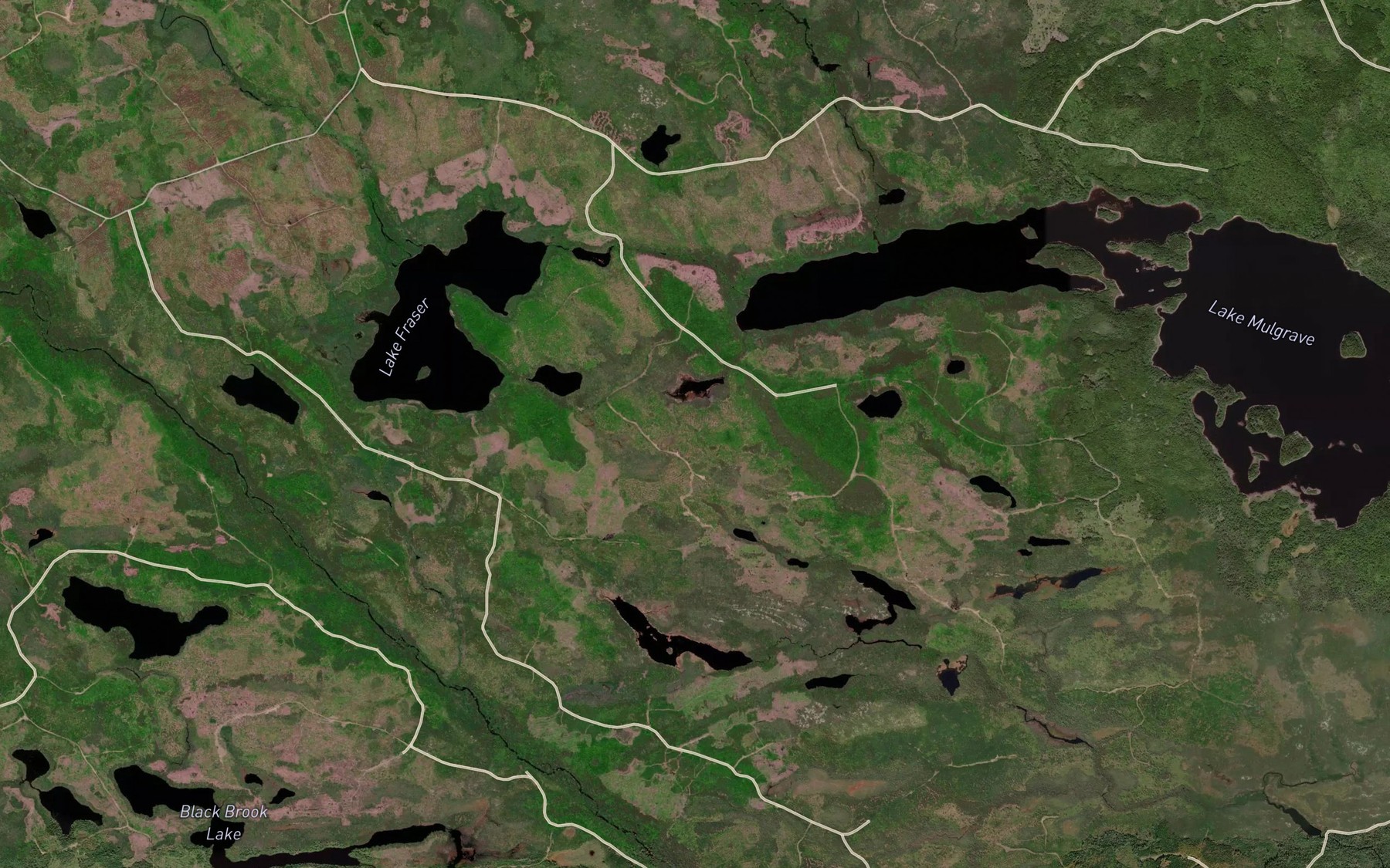 Satellite map of the Beaver Pond