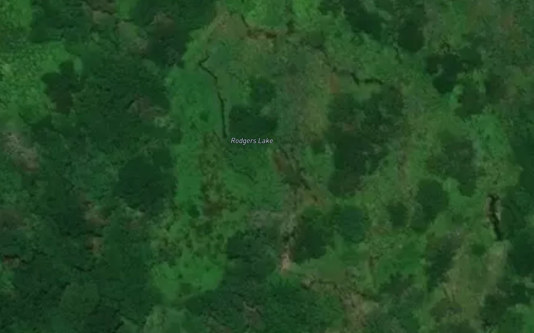 Satellite map of the Rodgers Lake