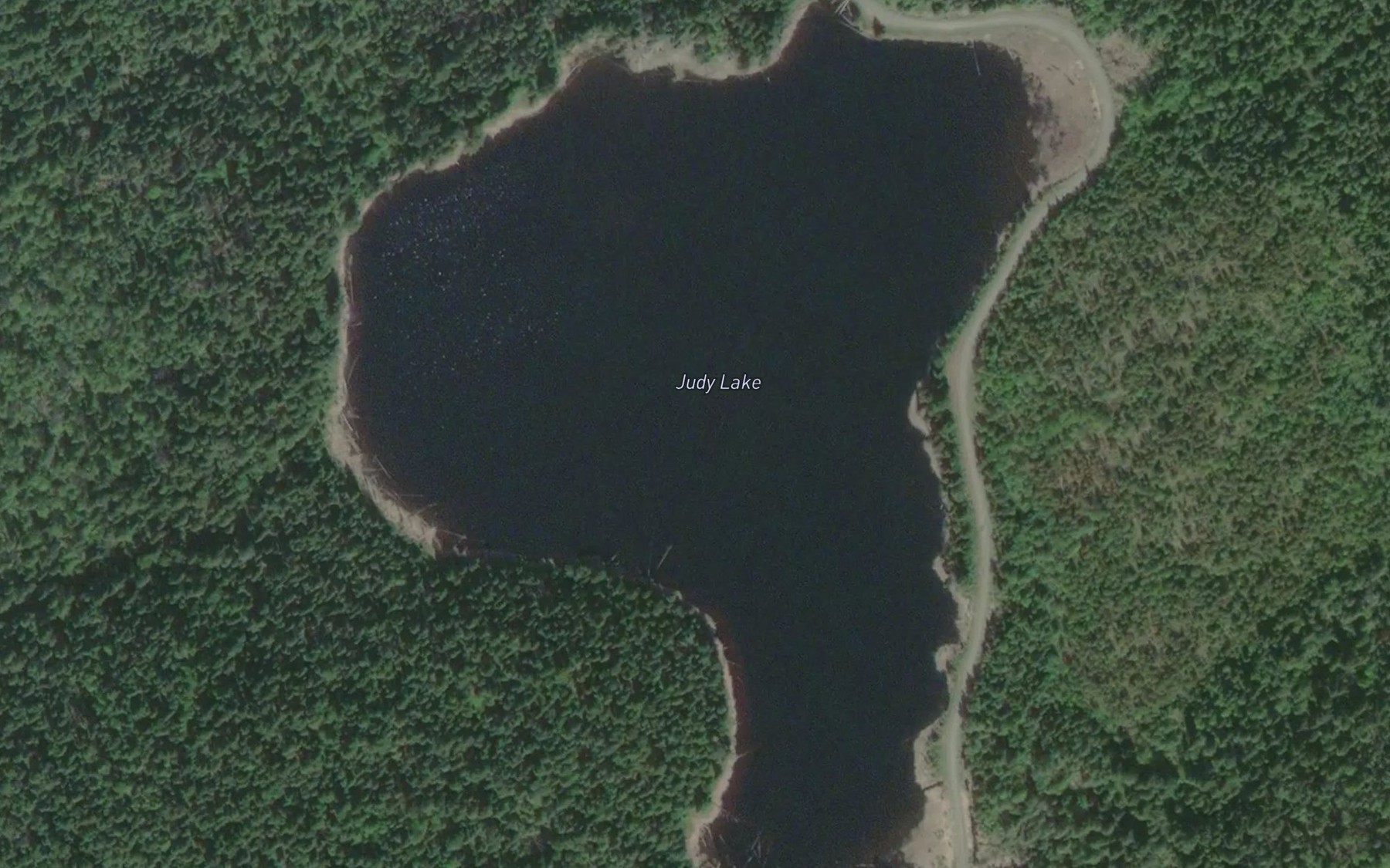 Satellite map of the Judy Lake