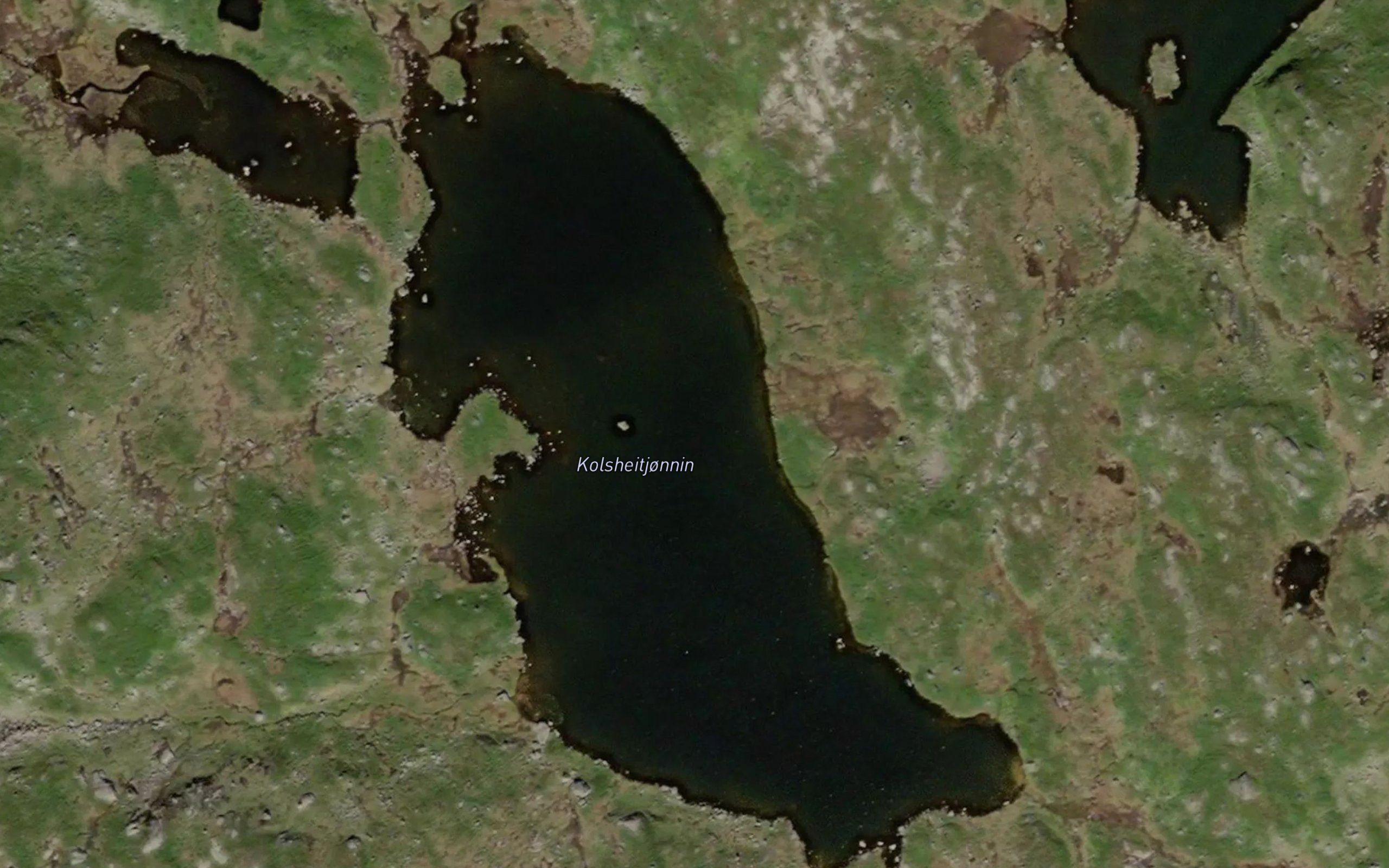 Kolsheitjornin