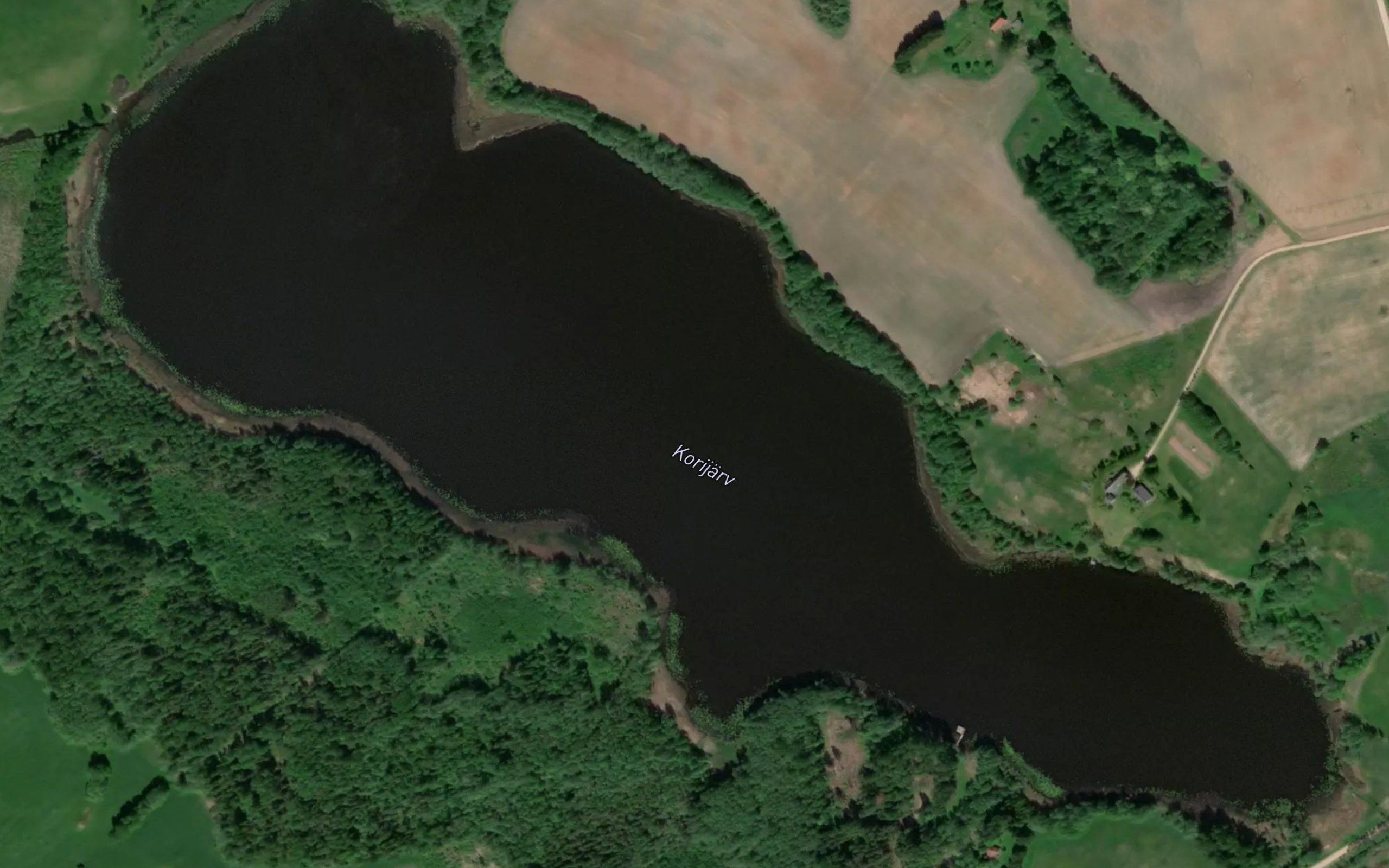Korijarv