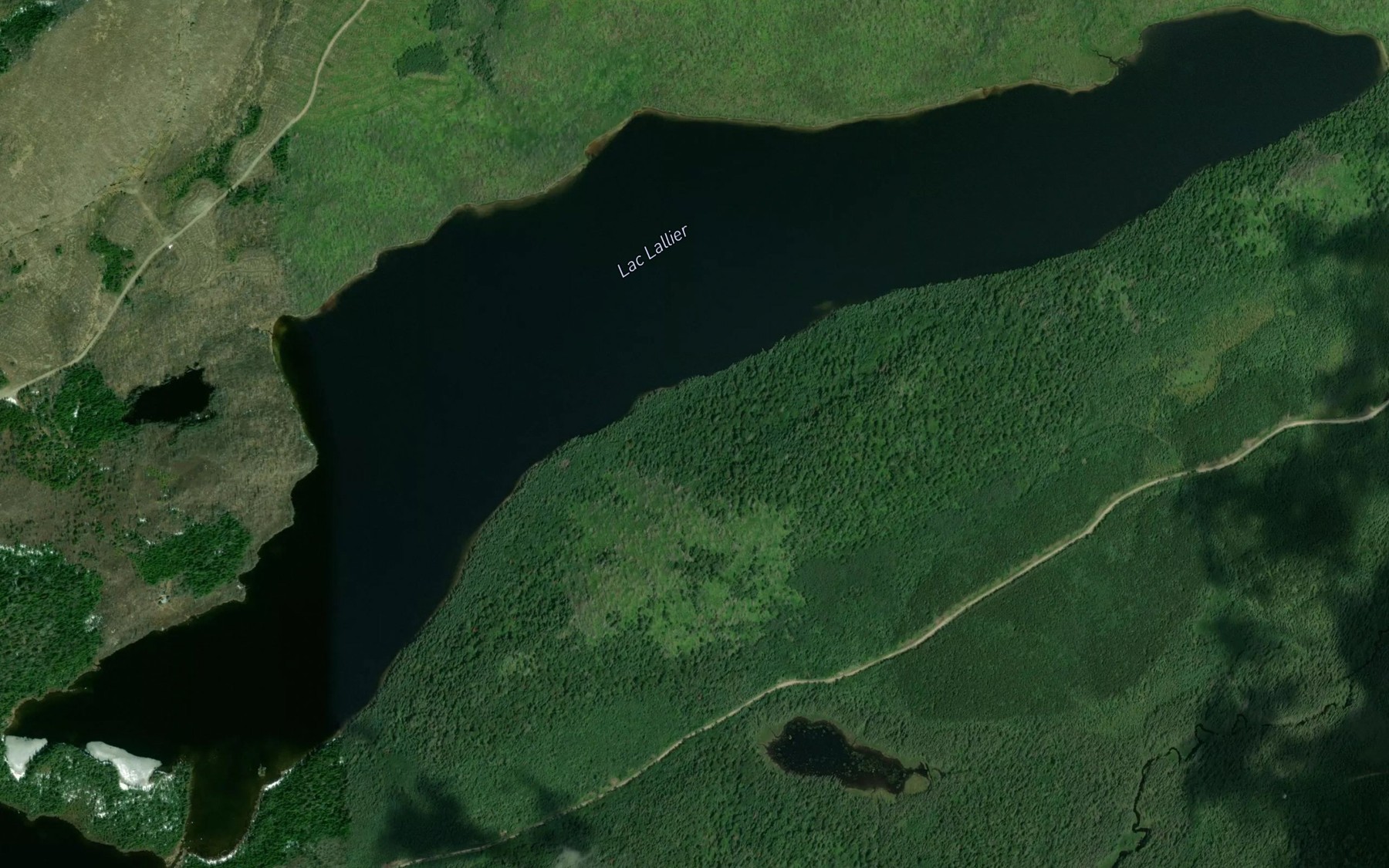 Satellite map of the Lac Lallier