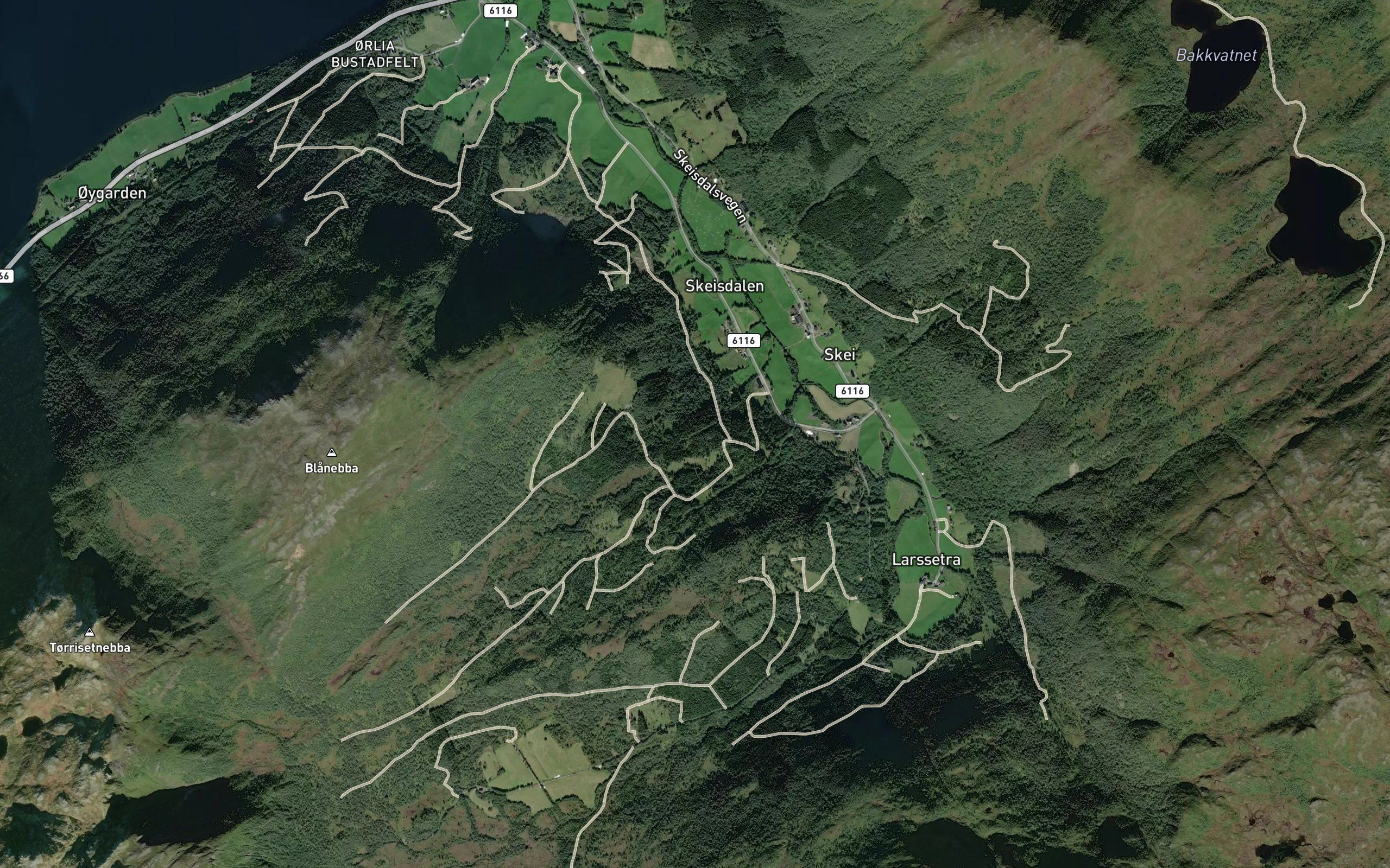 Braslibekken