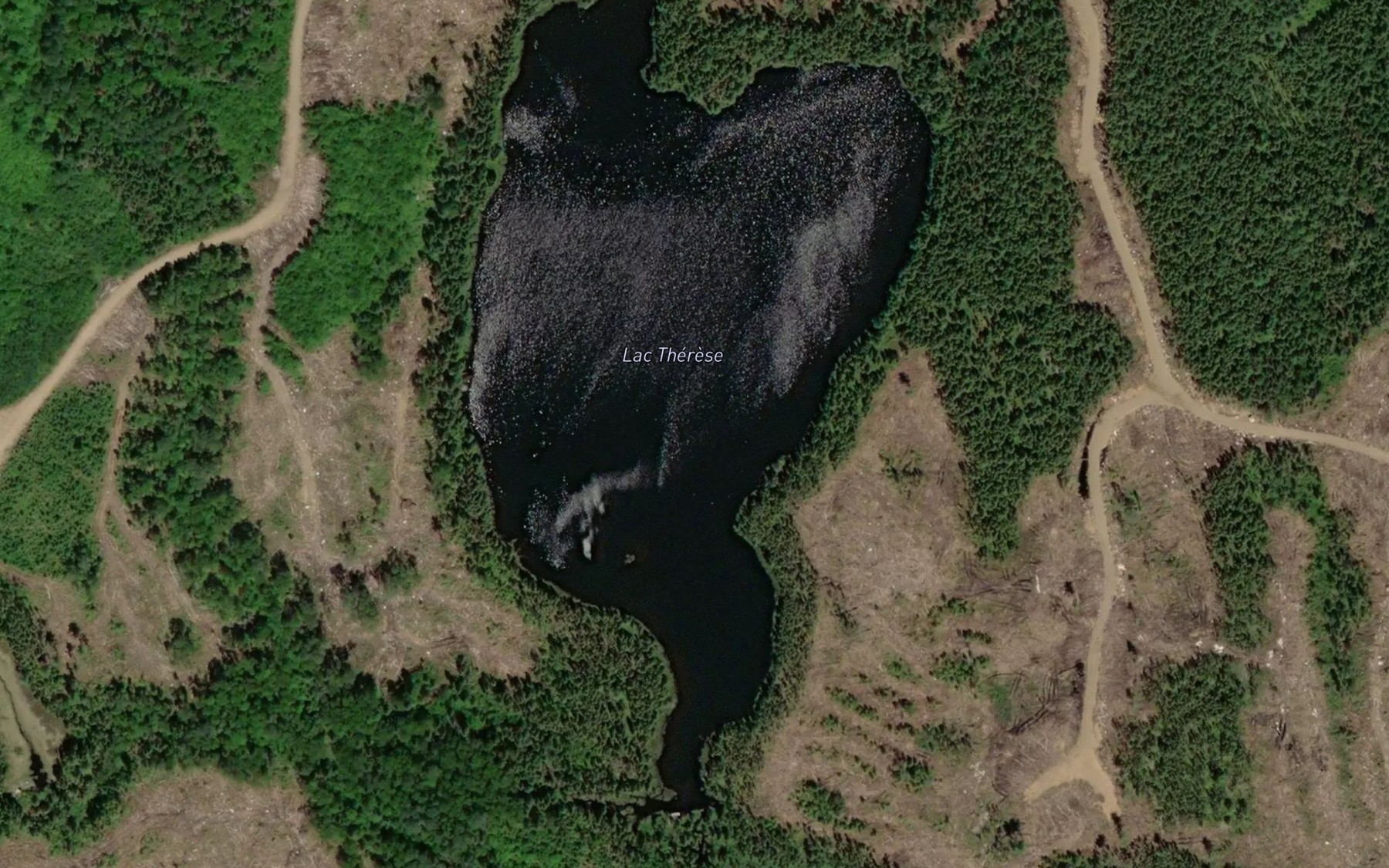 Satellite map of the Lac Therese