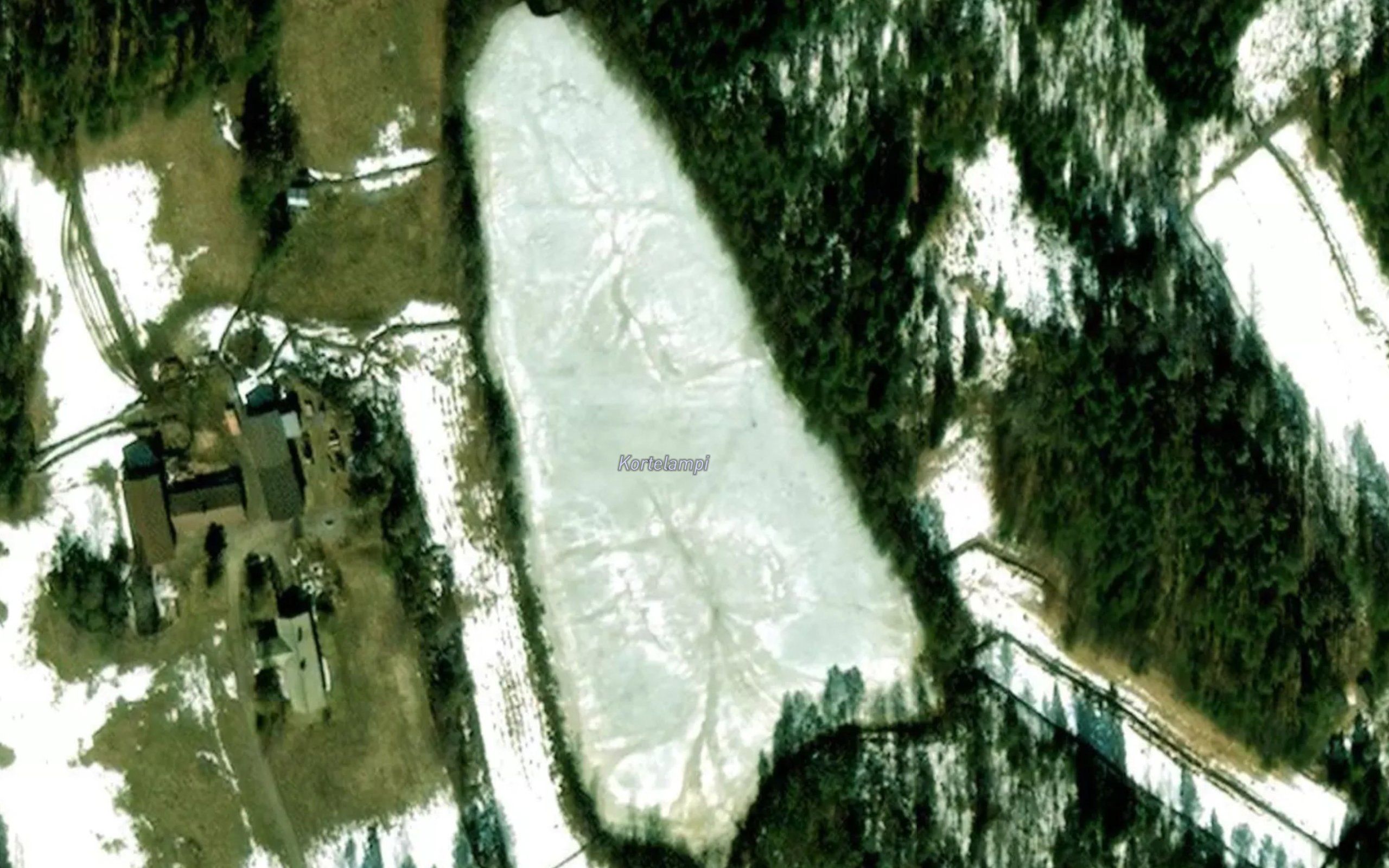 Kortelampi