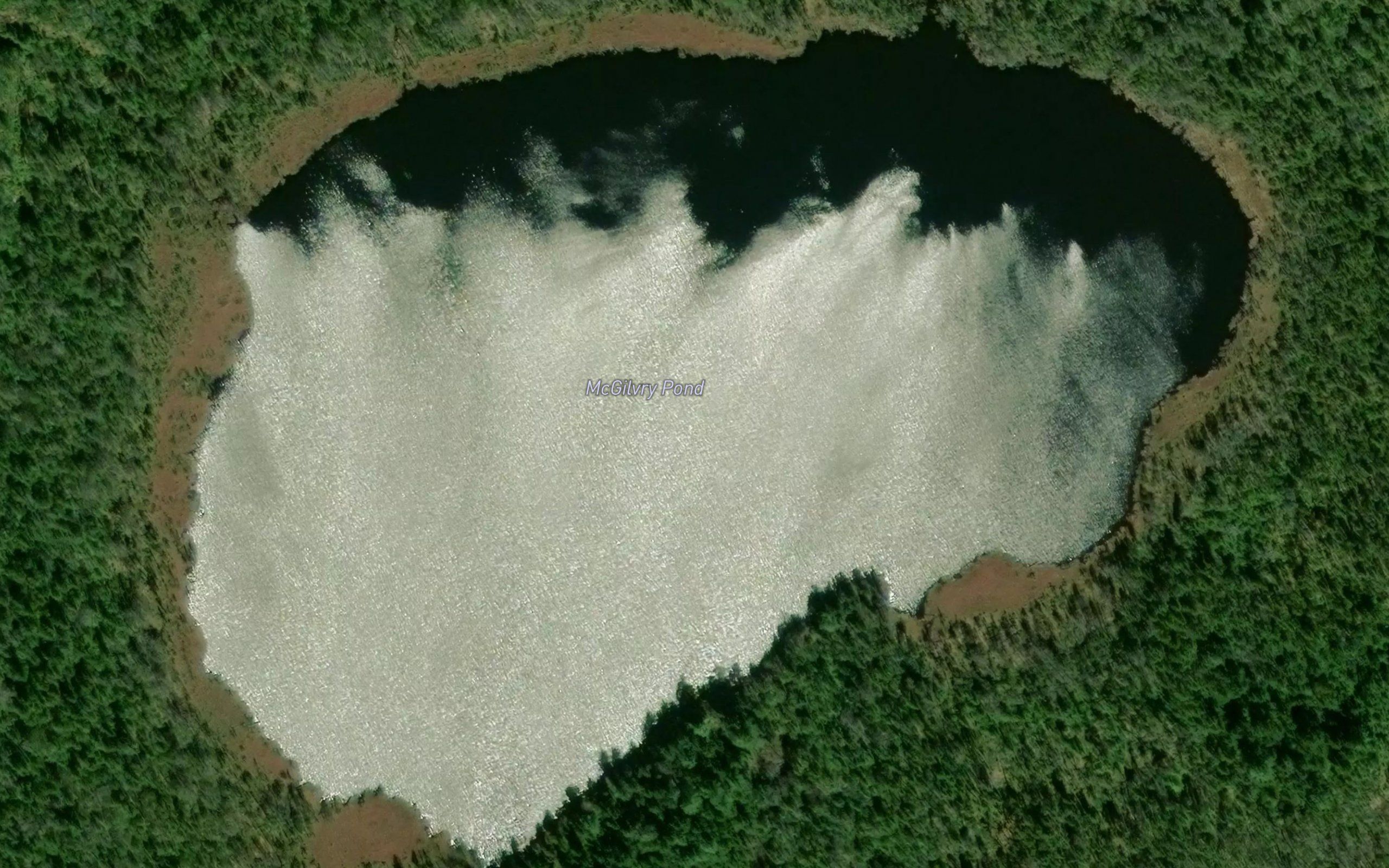 McGilvry Pond
