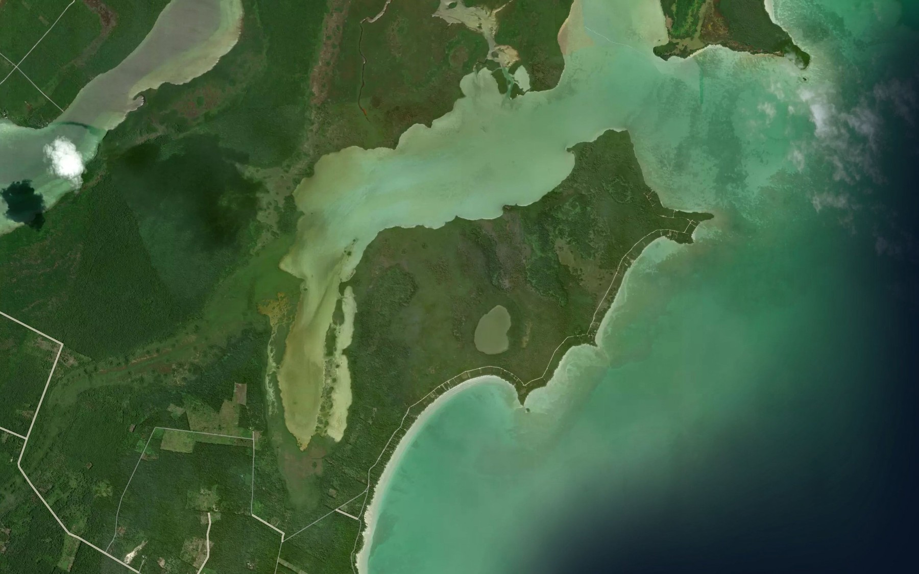 Satellite map of the Bahia de San Jose