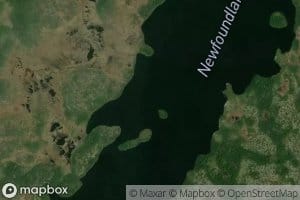 Newfoundland Dog Pond