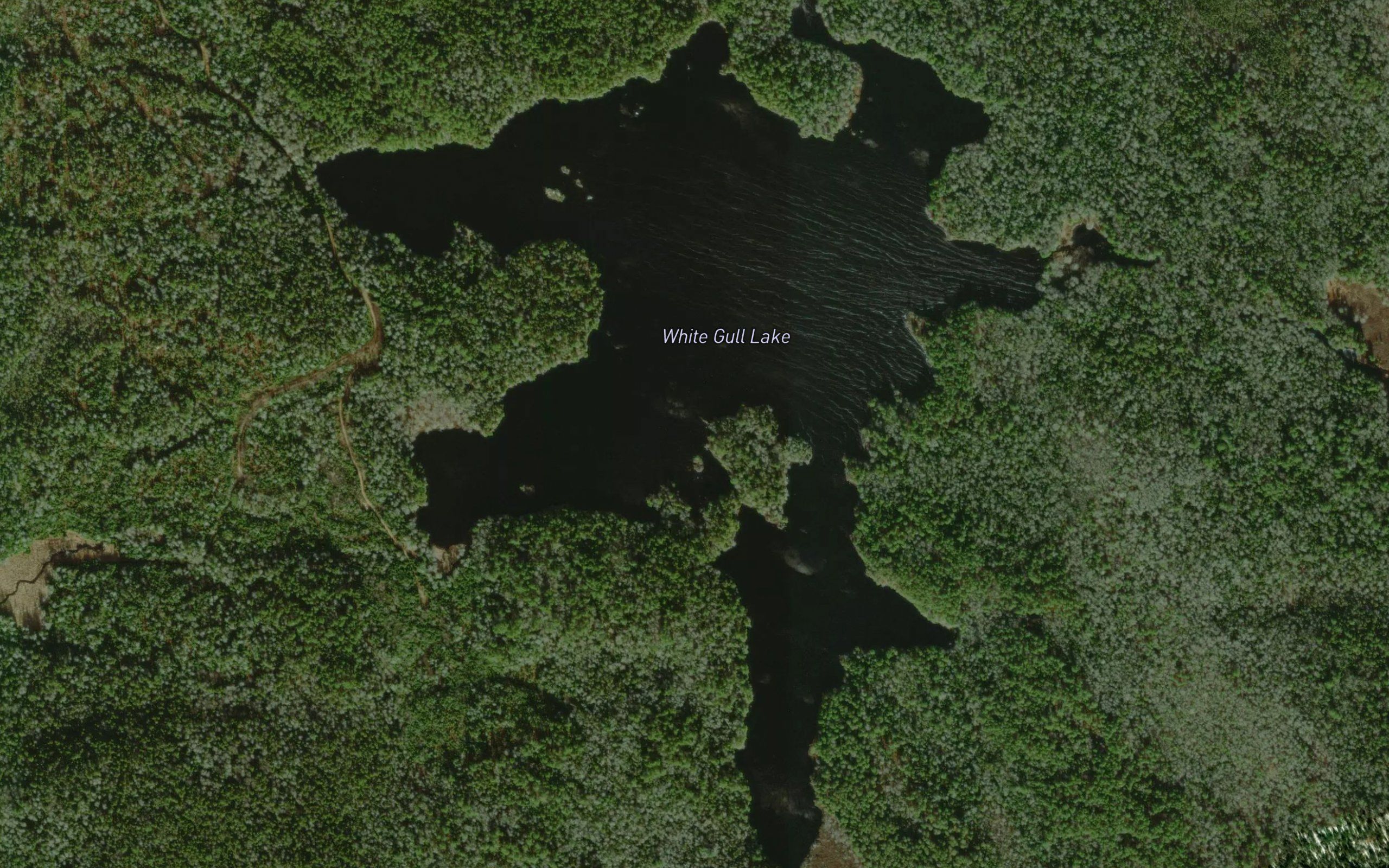 White Gull Lake