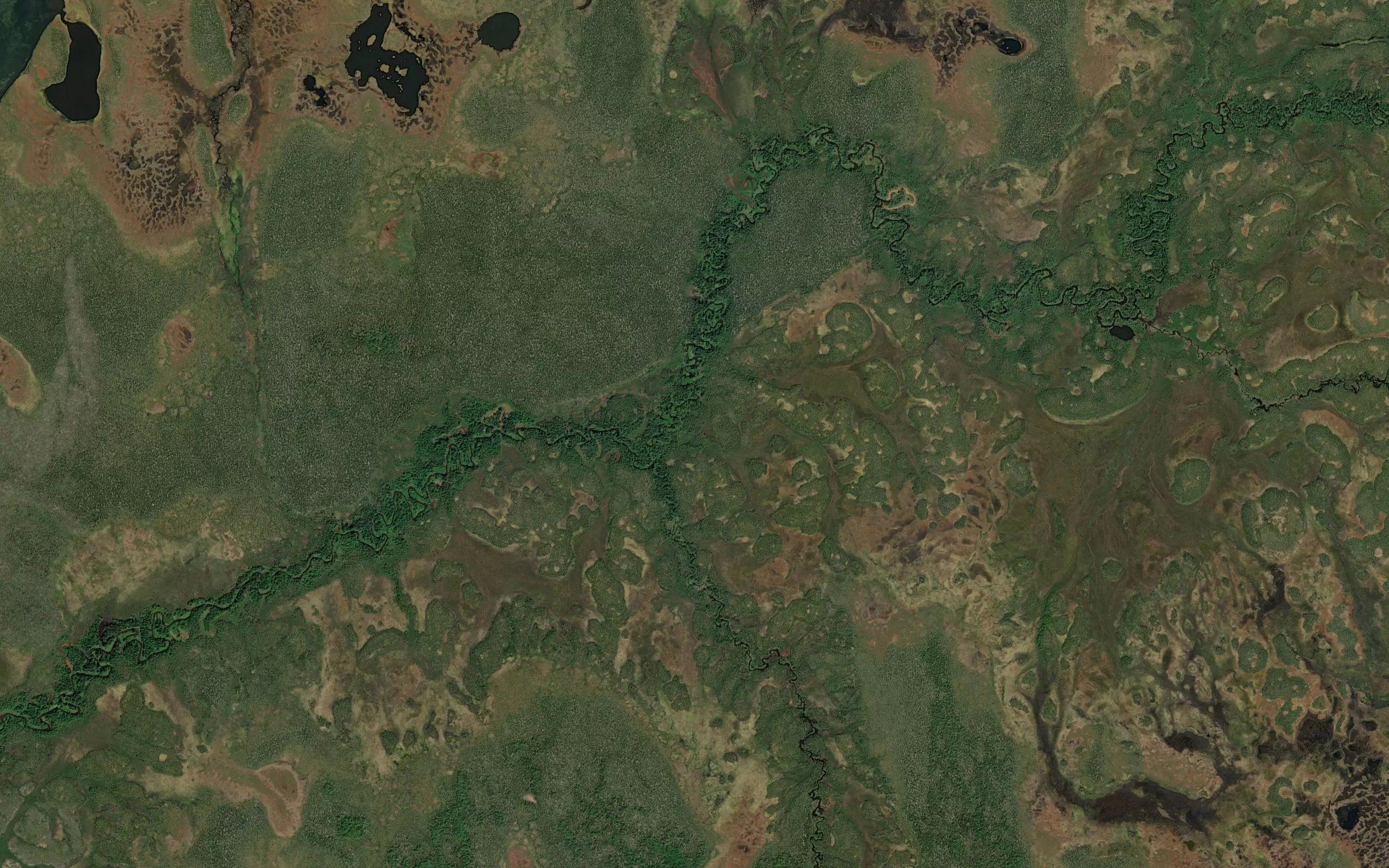 Muskrat Creek