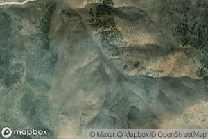 Rasberry Spring Three