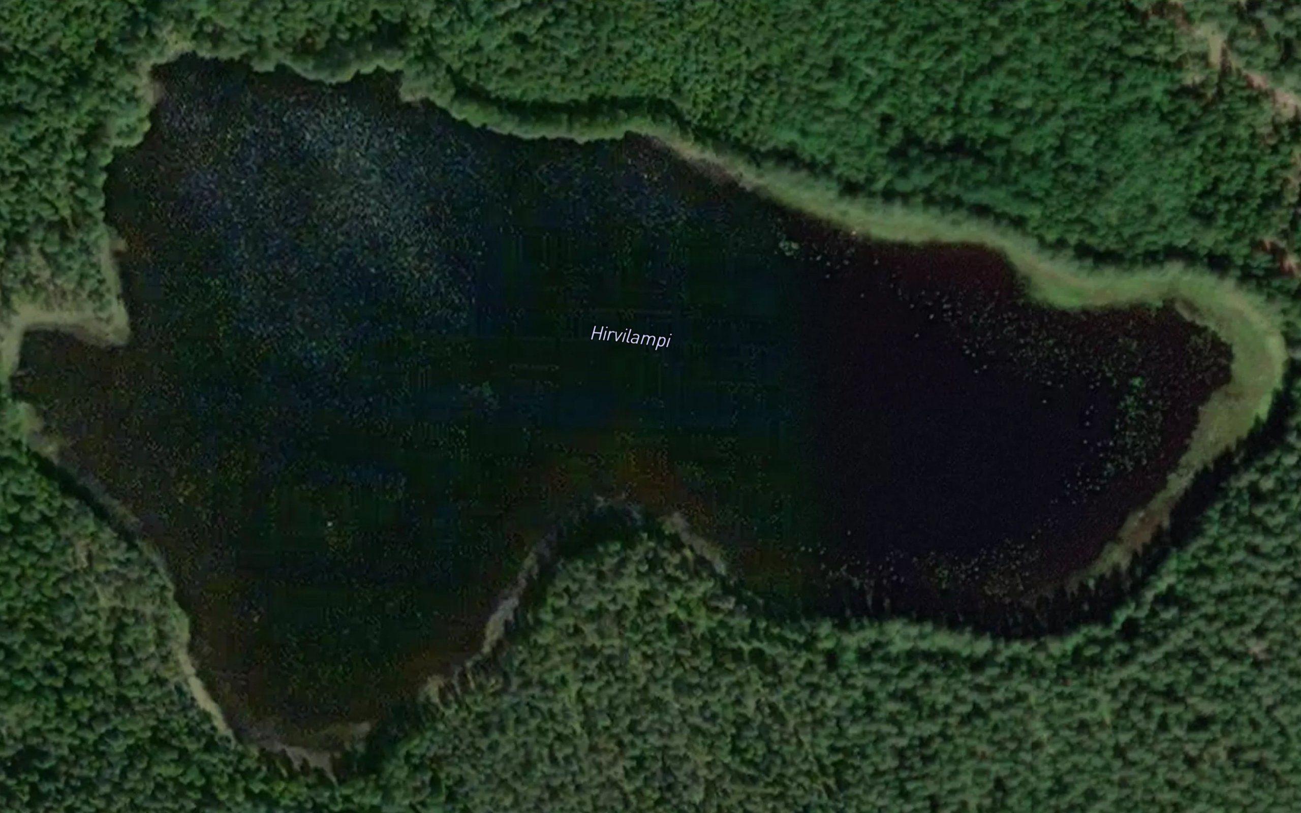 Hirvilampi