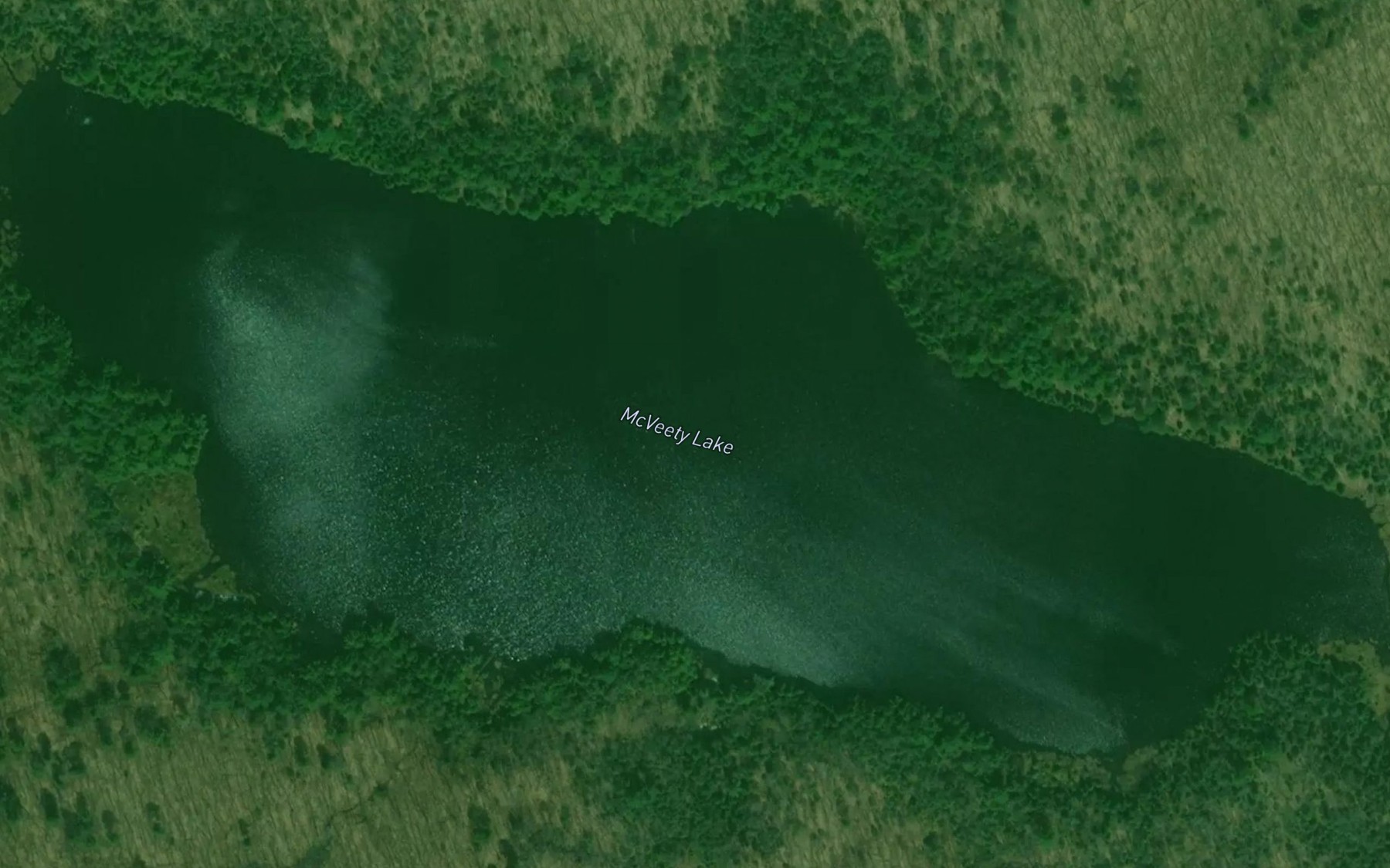 Satellite map of the McVeety Lake